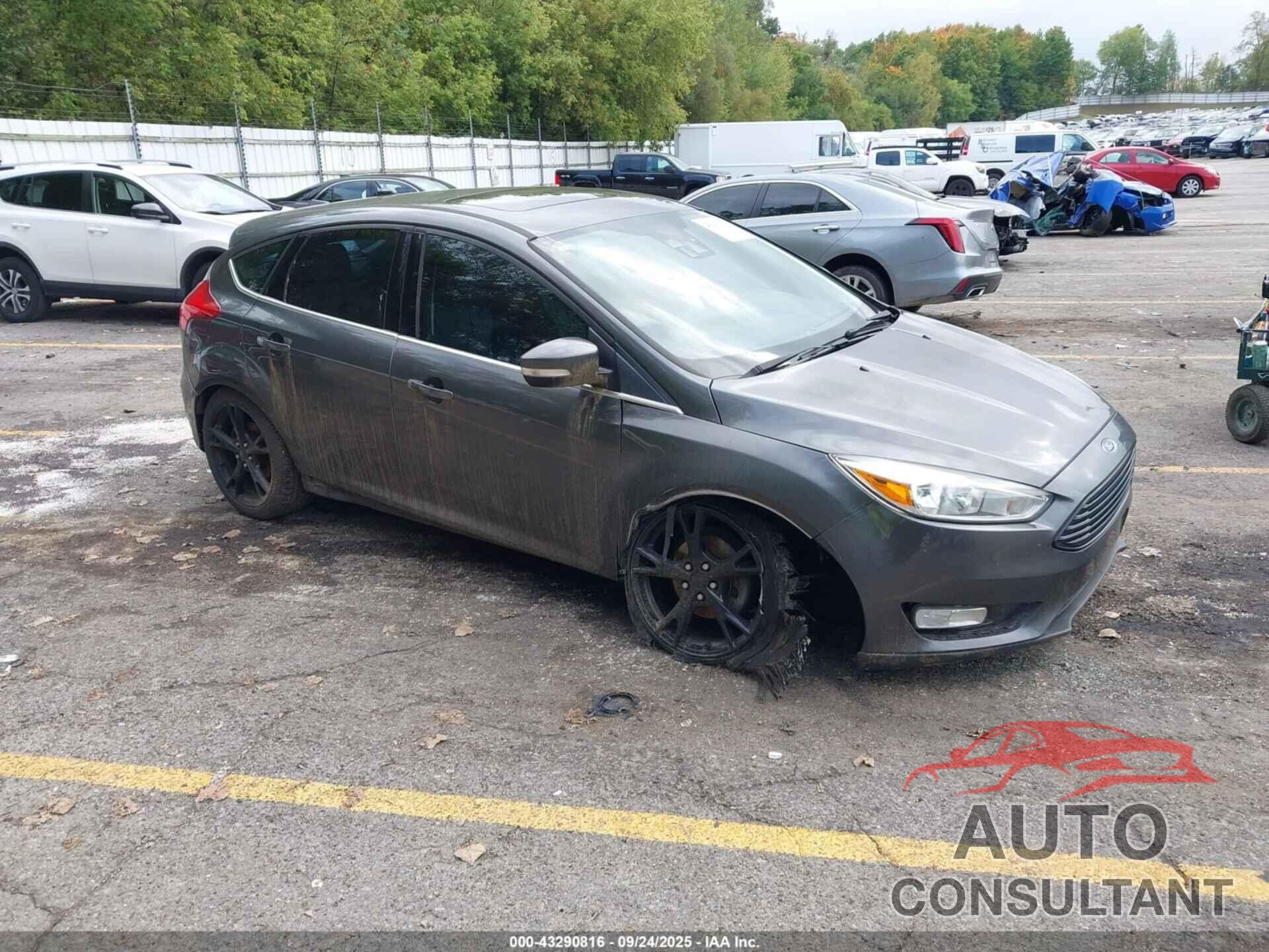 FORD FOCUS 2016 - 1FADP3N28GL239559
