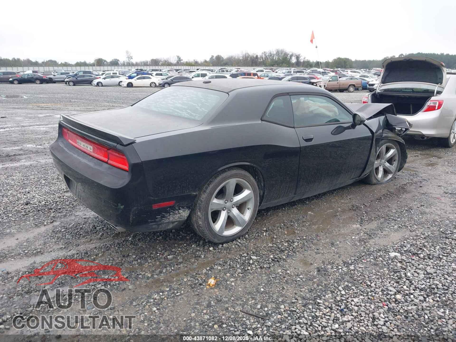 DODGE CHALLENGER 2013 - 2C3CDYAG3DH562153