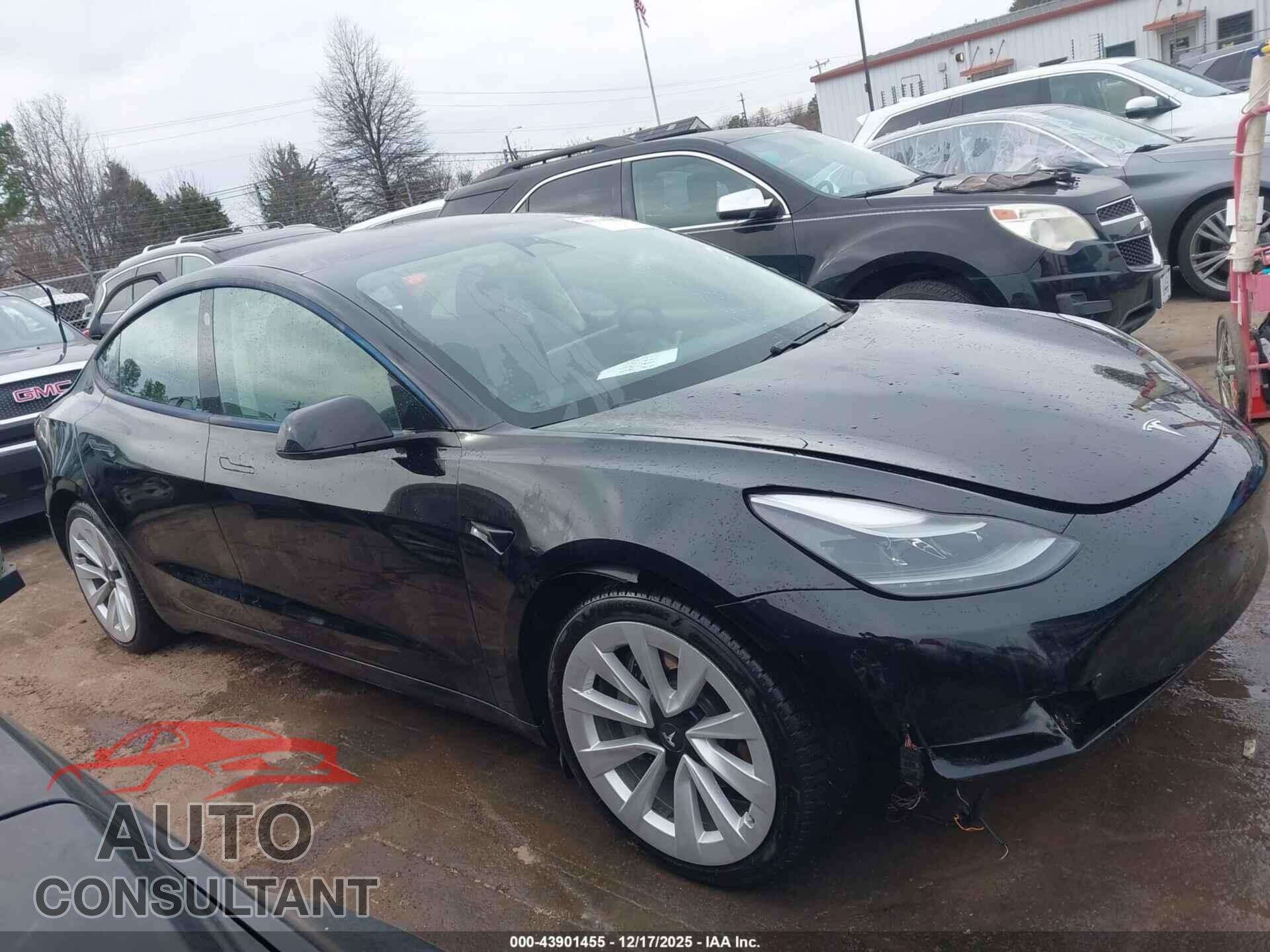 TESLA MODEL 3 2021 - 5YJ3E1EB9MF974985