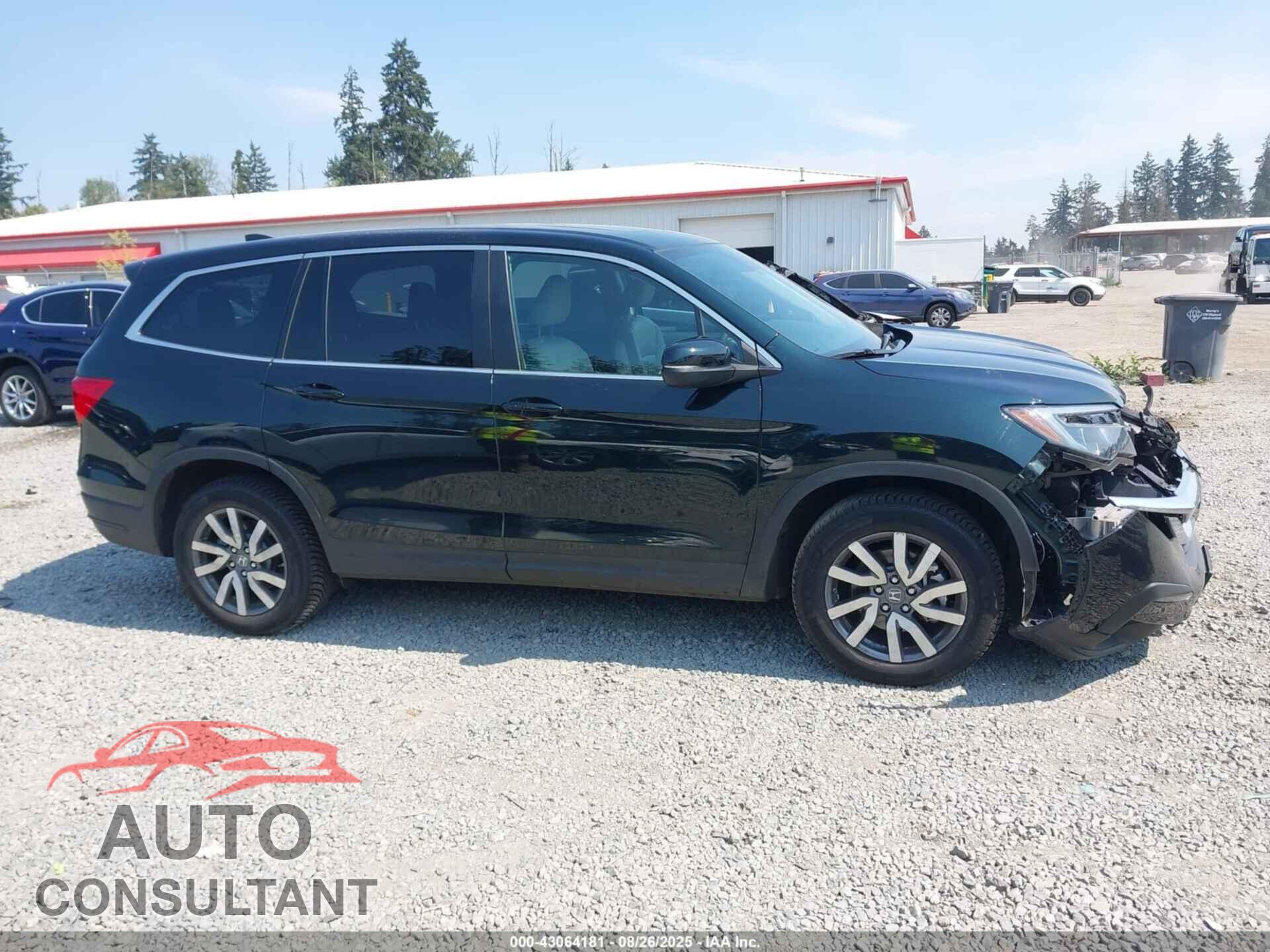 HONDA PILOT 2019 - 5FNYF6H54KB036802