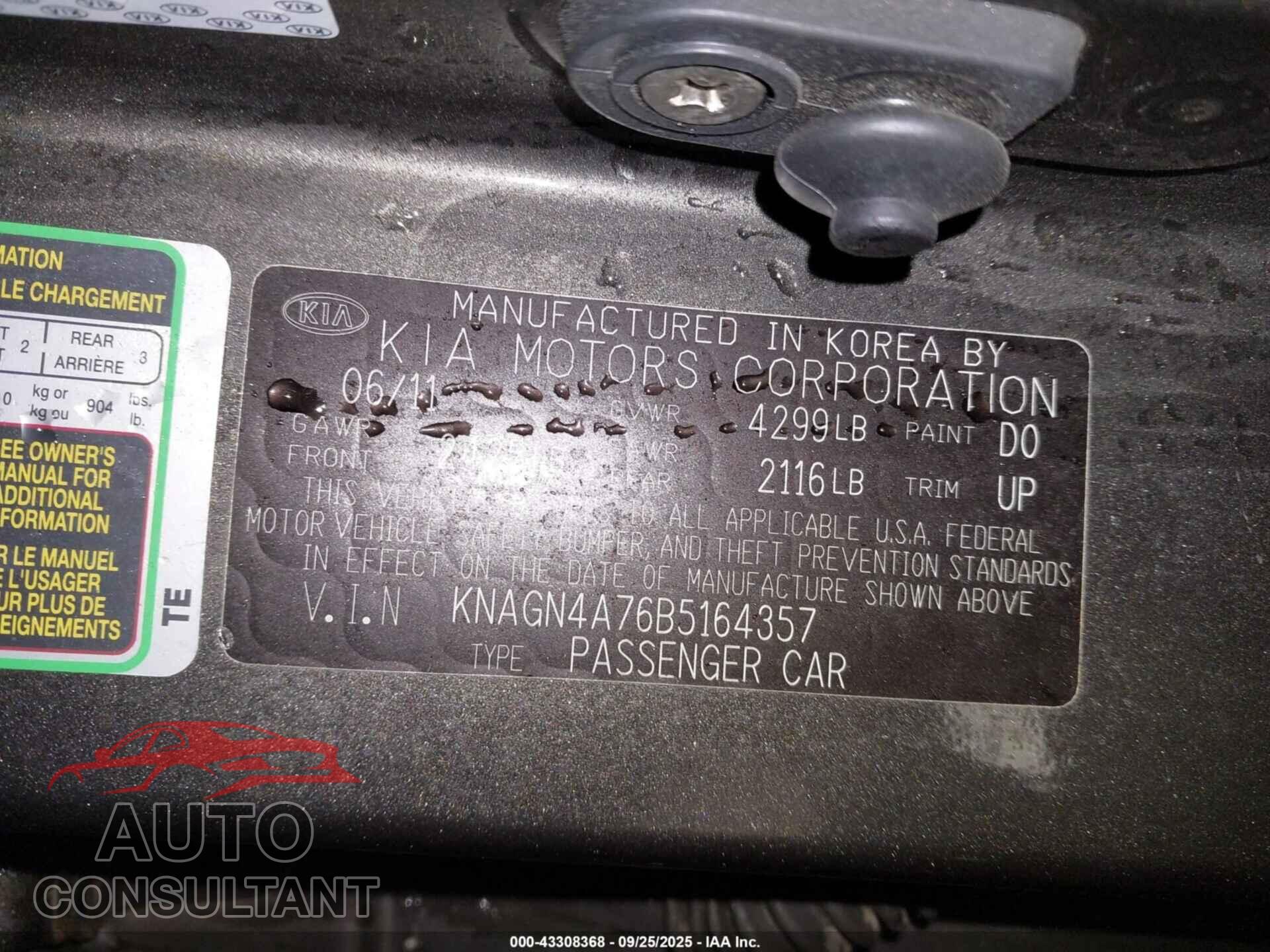 KIA OPTIMA 2011 - KNAGN4A76B5164357