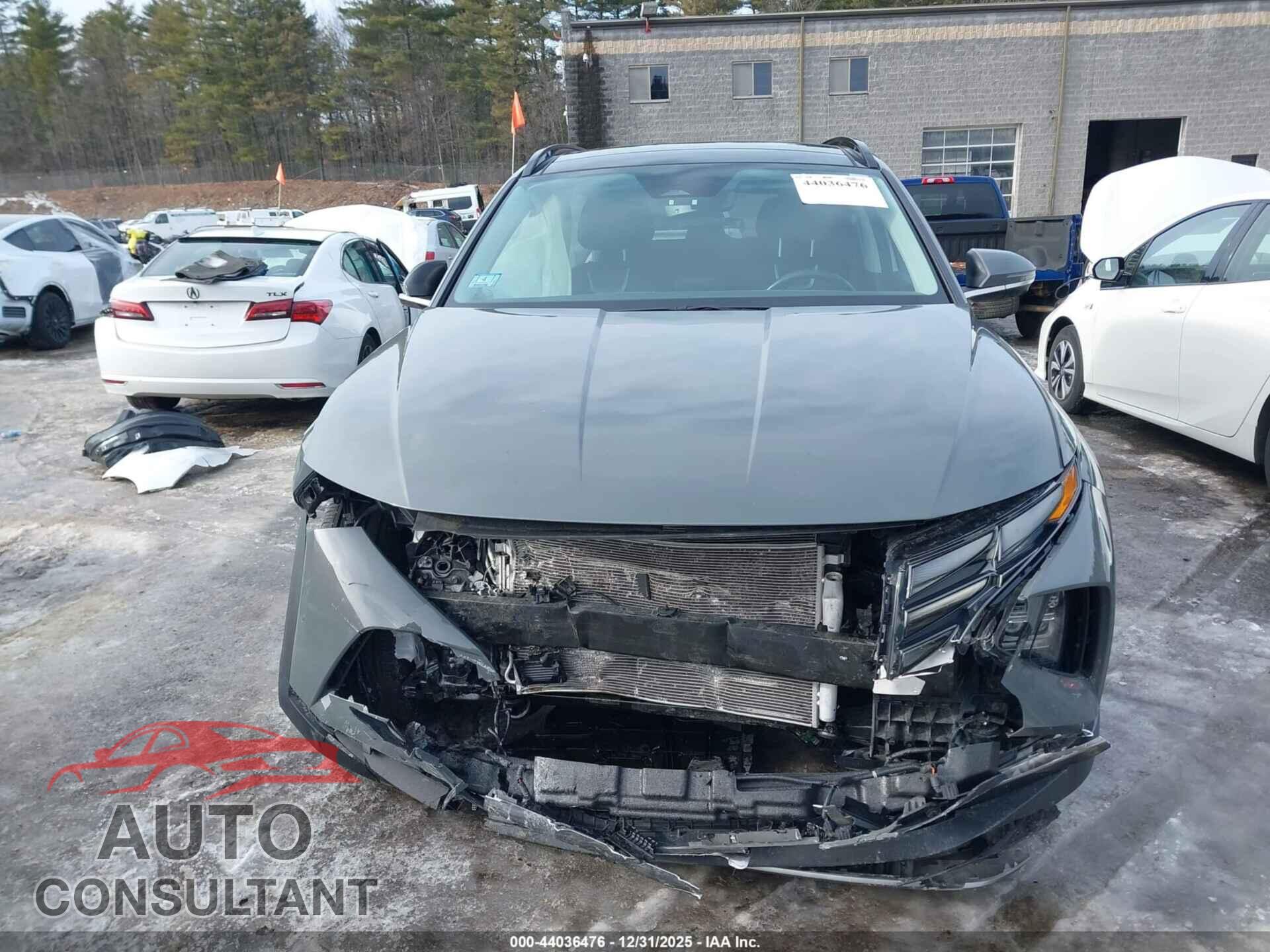 HYUNDAI TUCSON 2024 - 5NMJECDE8RH395491