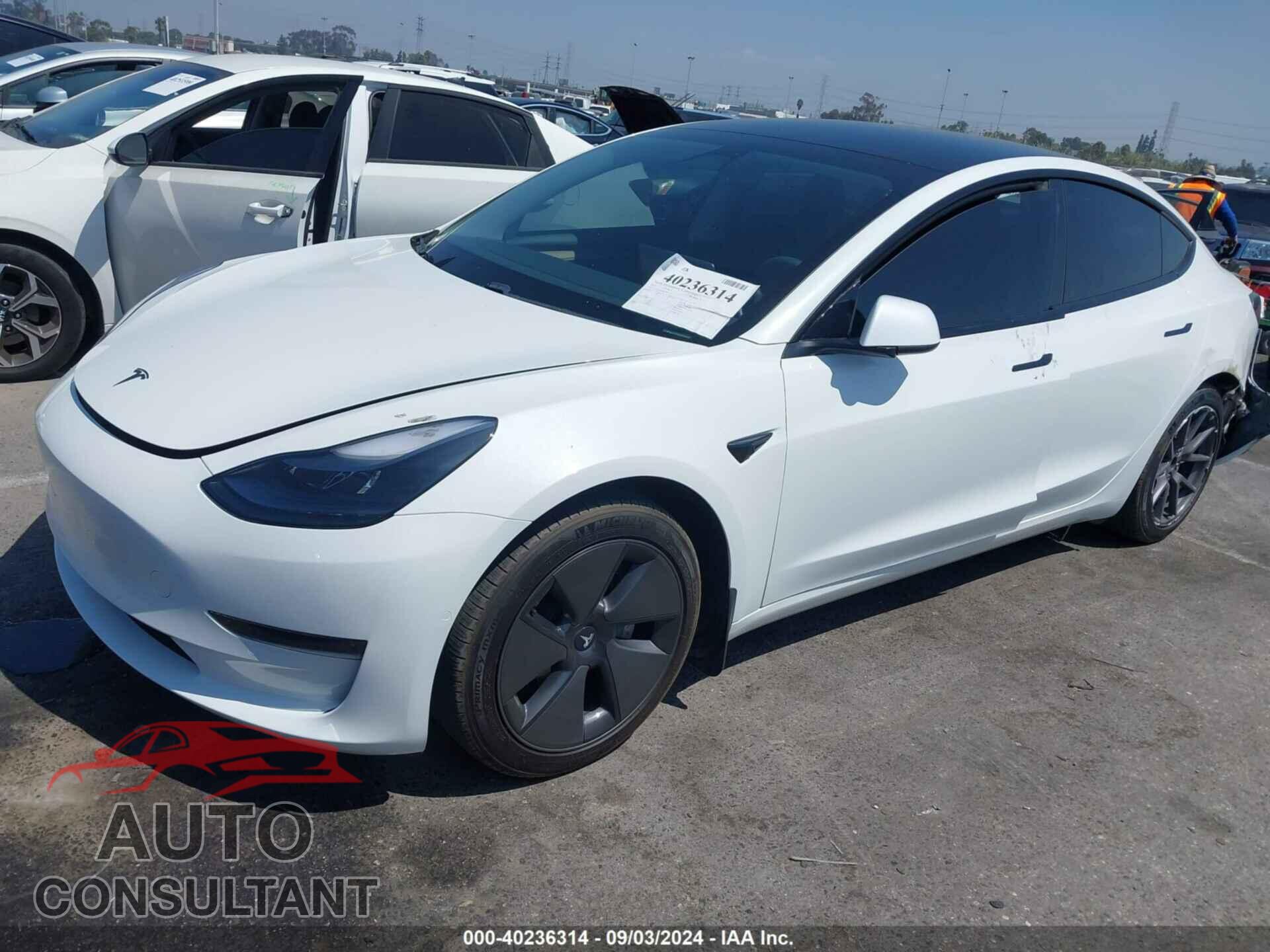 TESLA MODEL 3 2021 - 5YJ3E1EA9MF991177