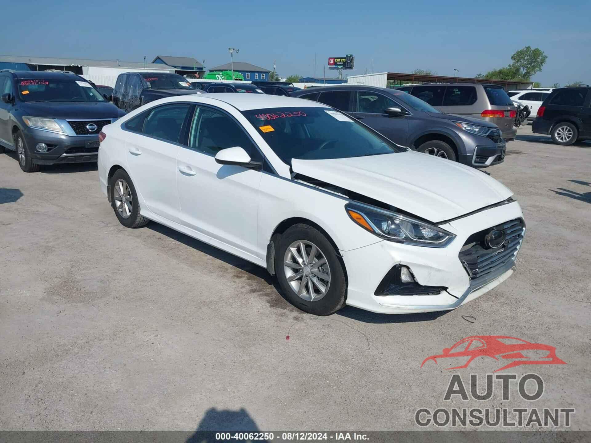 HYUNDAI SONATA 2019 - 5NPE24AF5KH763647