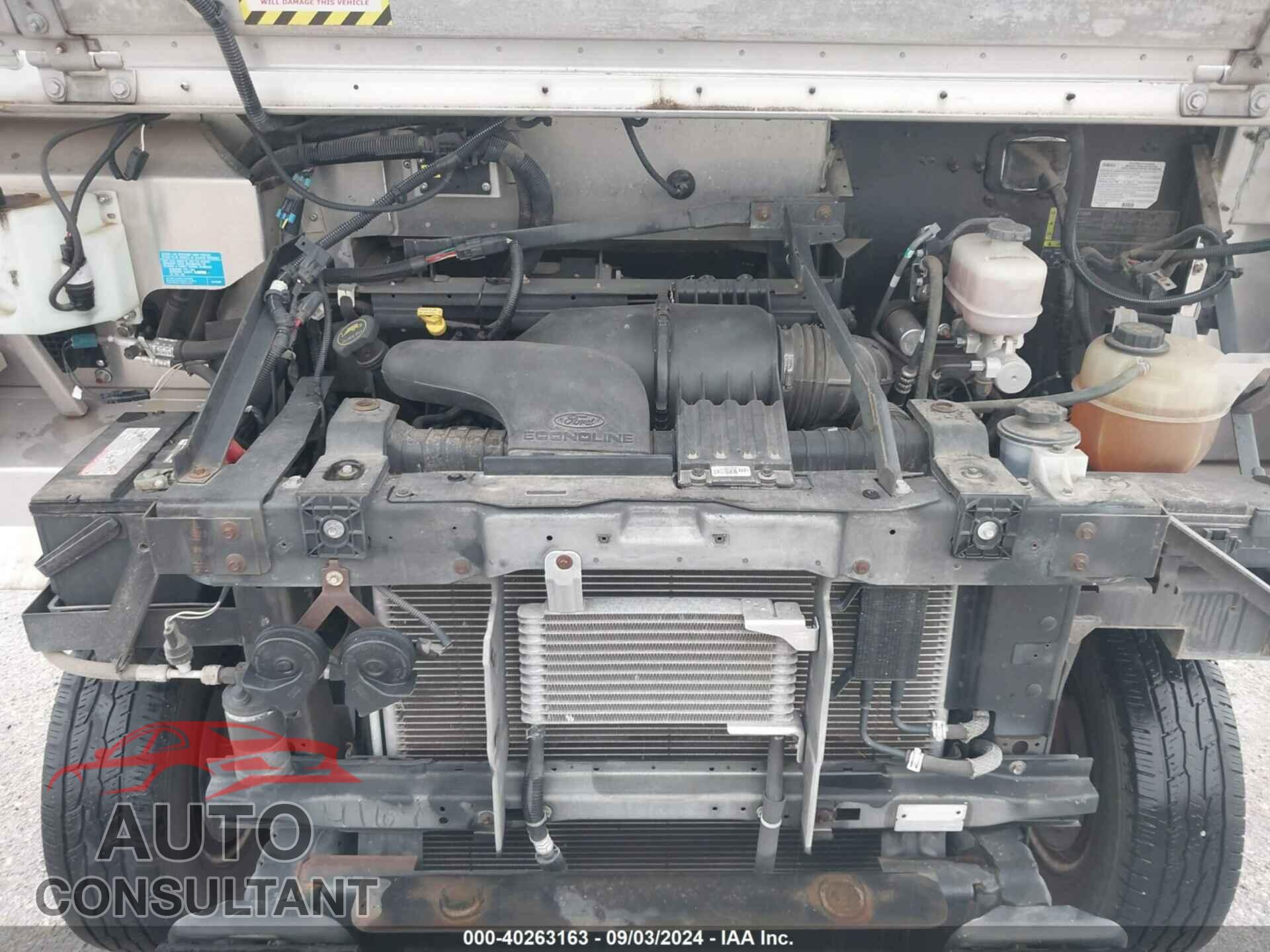 FORD E-350 STRIPPED 2016 - 1FC3E3KLXGDC14164