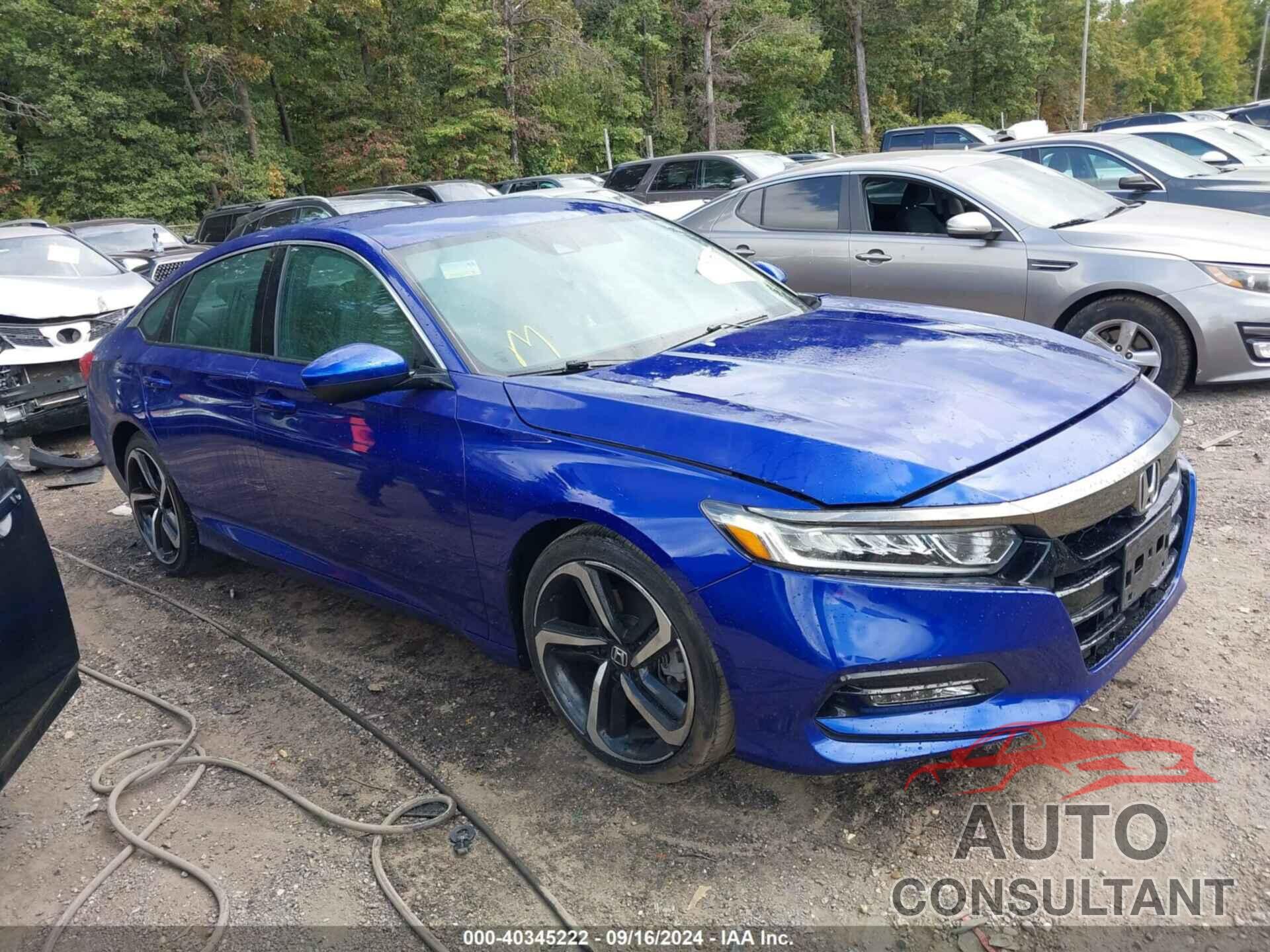 HONDA ACCORD 2019 - 1HGCV1F30KA065824