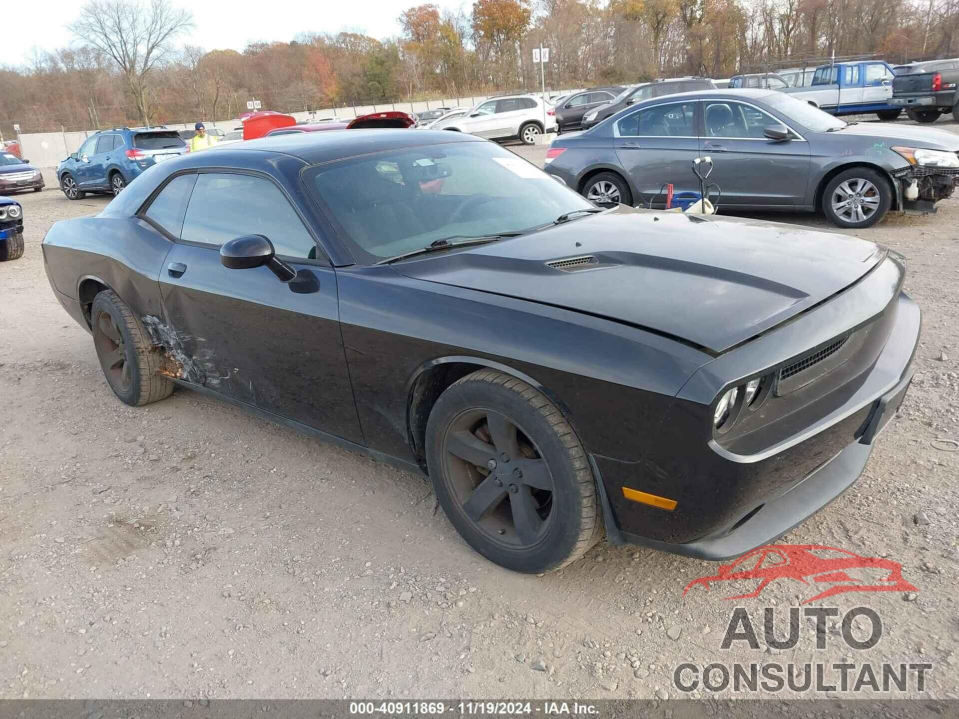 DODGE CHALLENGER 2013 - 2C3CDYAG4DH540405