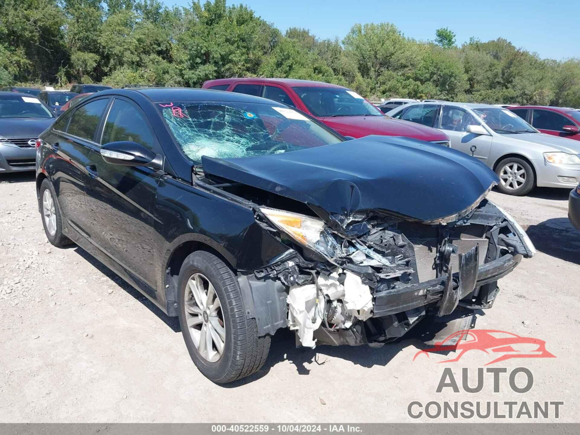 HYUNDAI SONATA 2014 - 5NPEB4AC5EH850748