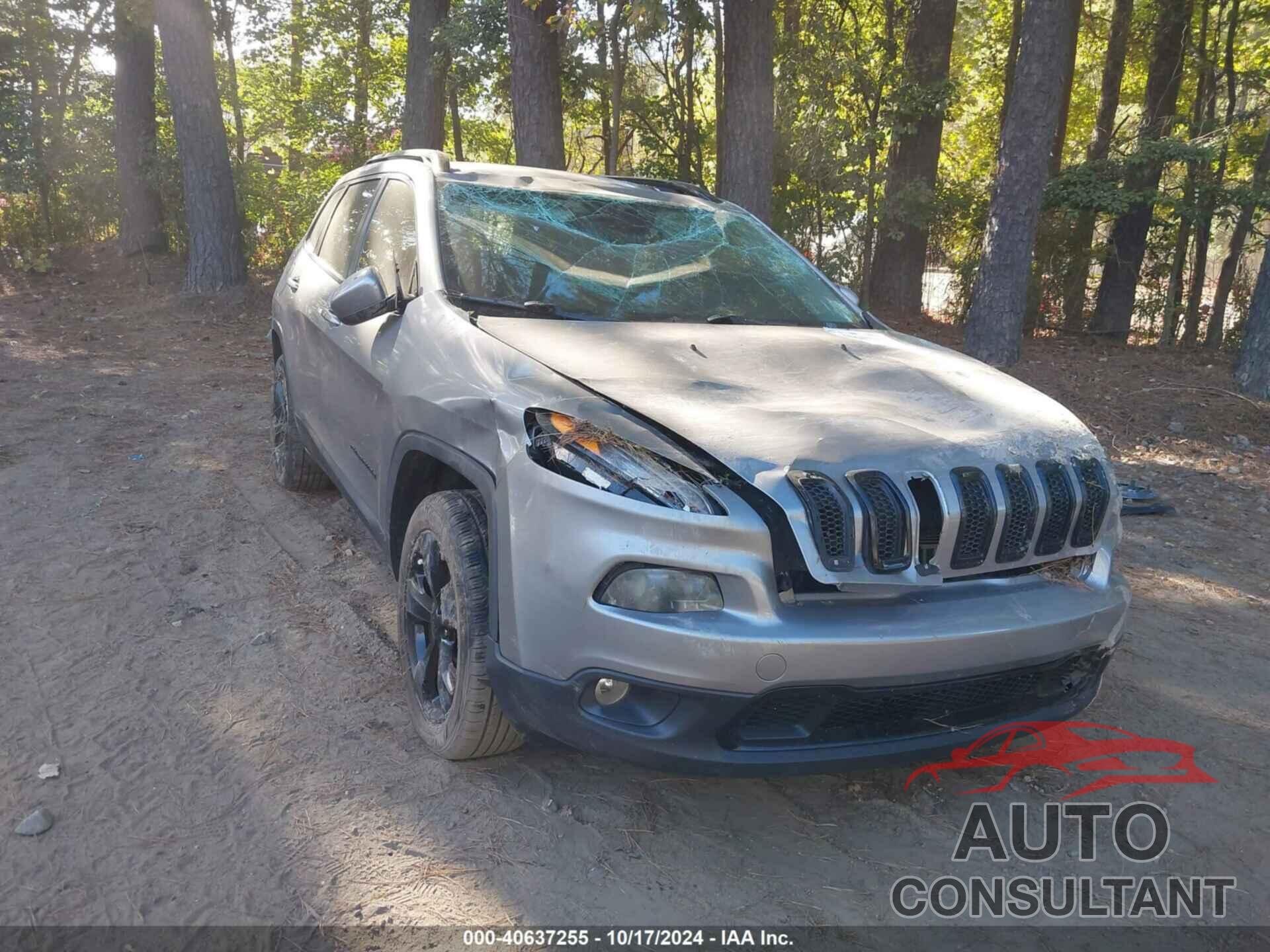 JEEP CHEROKEE 2018 - 1C4PJLCB3JD552516