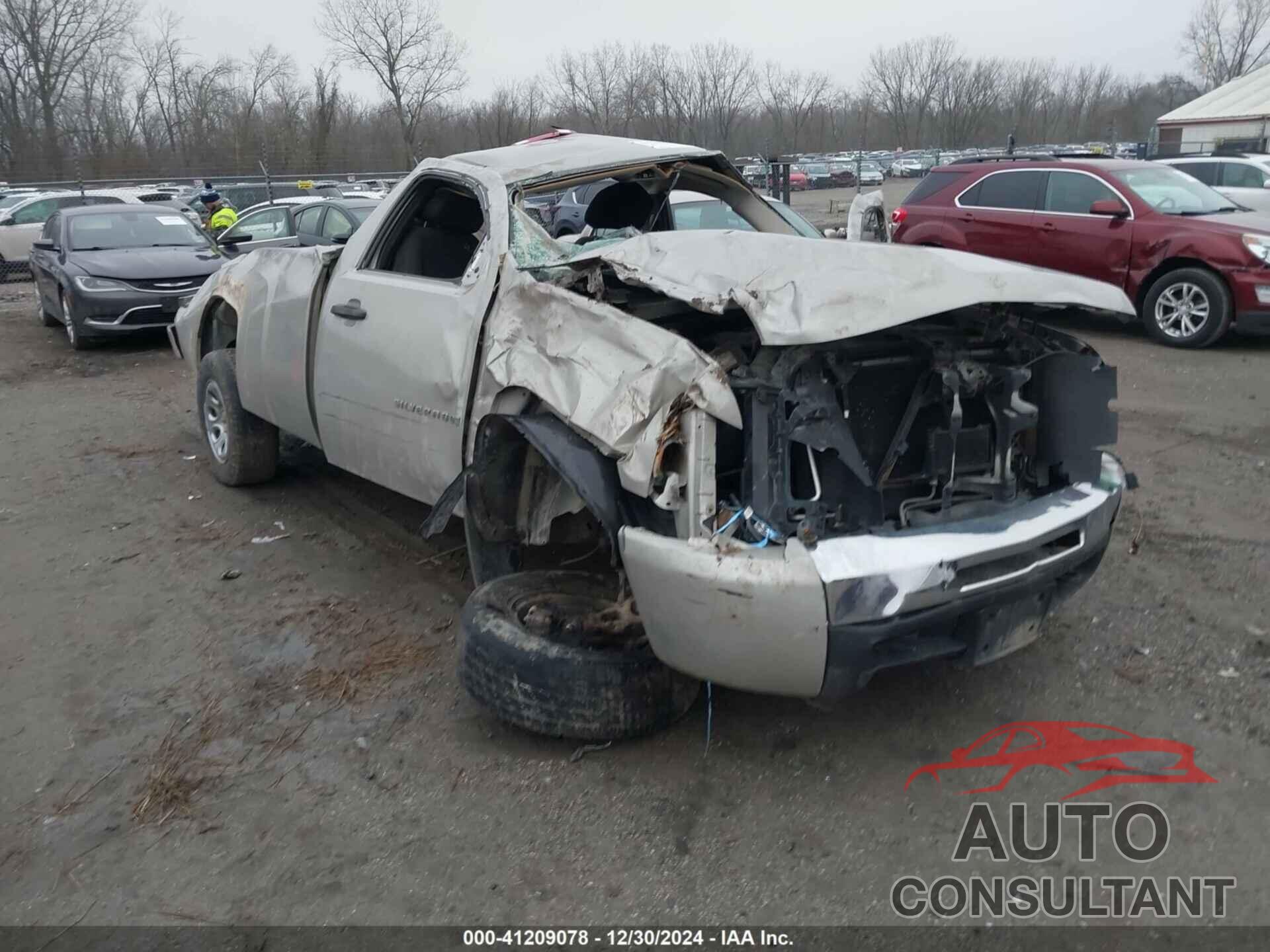 CHEVROLET SILVERADO 2009 - 1GCEC24C69Z138132