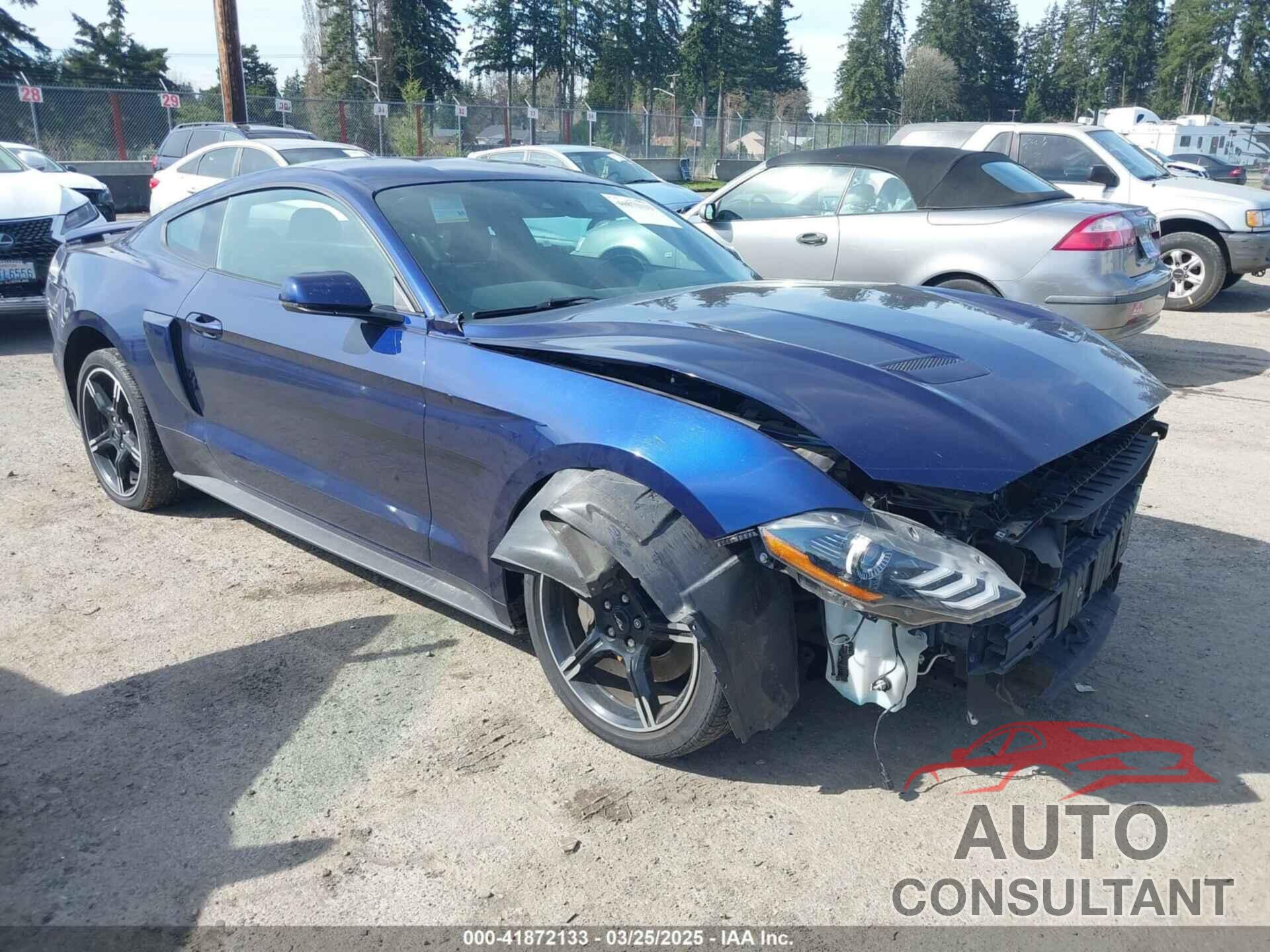 FORD MUSTANG 2019 - 1FA6P8CF2K5176810