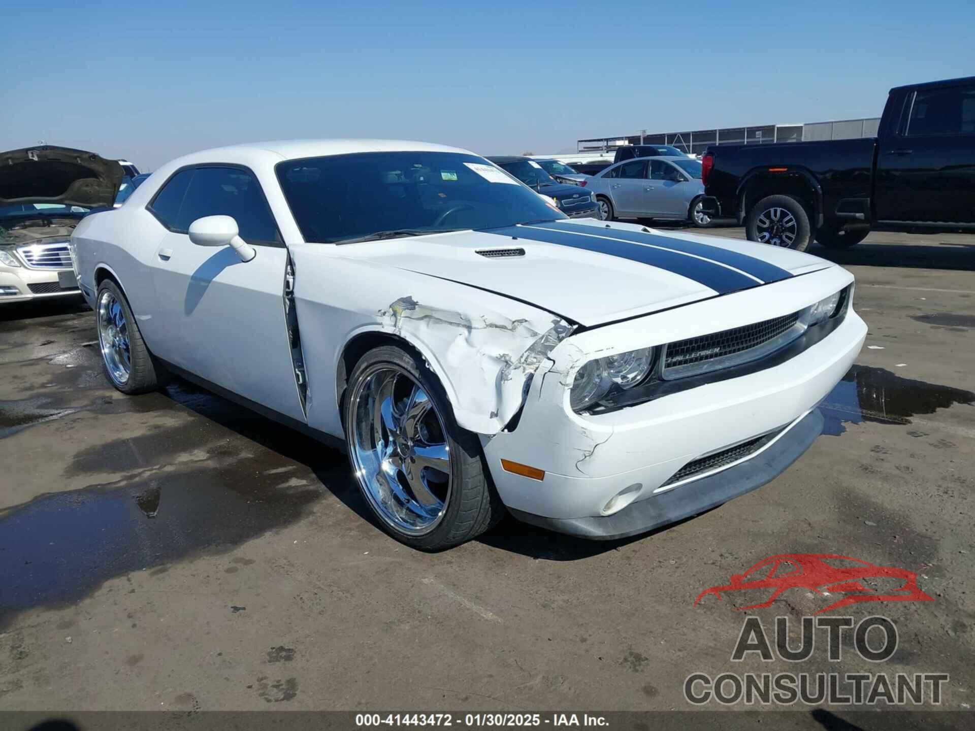 DODGE CHALLENGER 2013 - 2C3CDYAG3DH573945