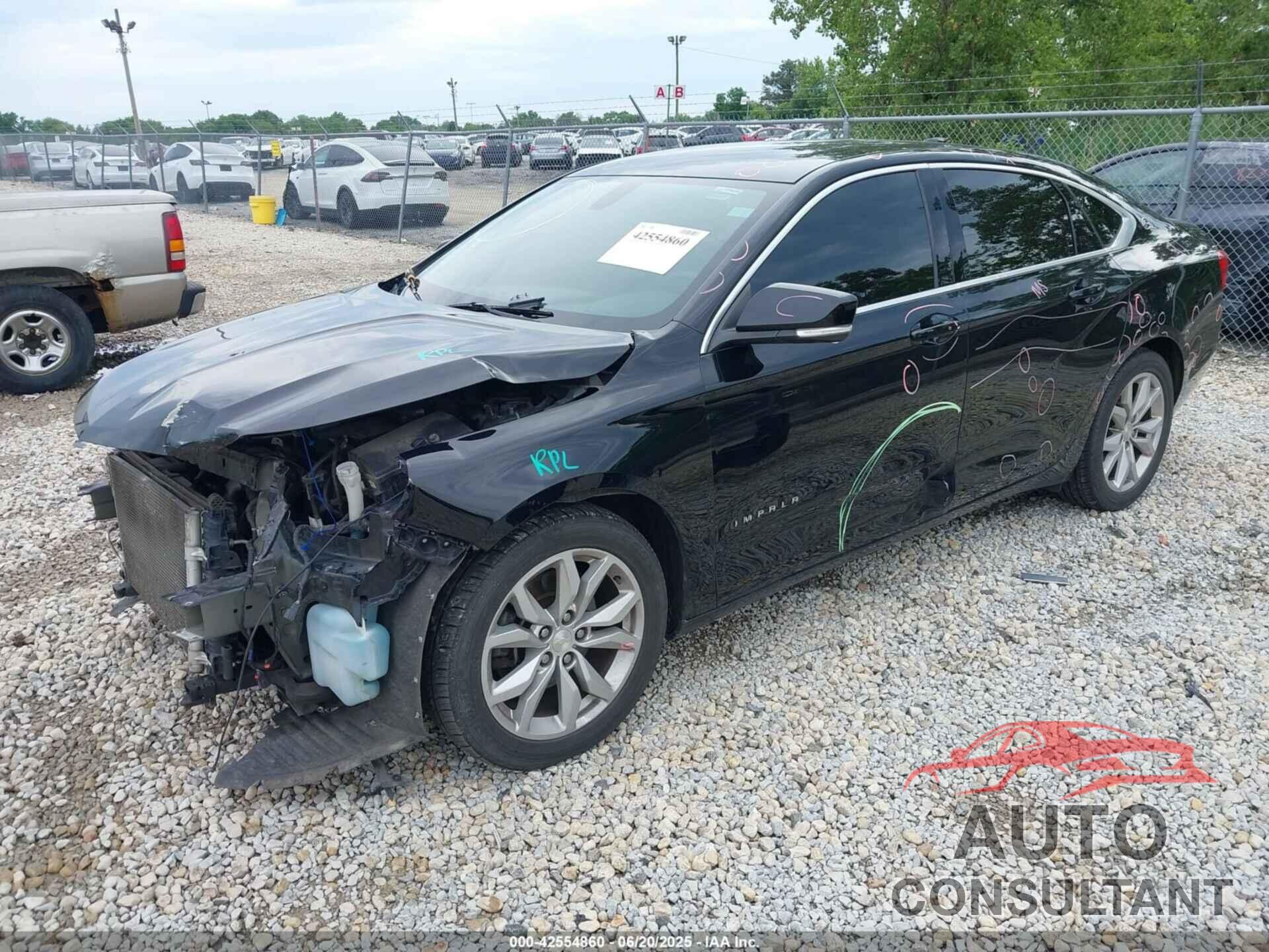 CHEVROLET IMPALA 2019 - 1G11Z5S33KU108213