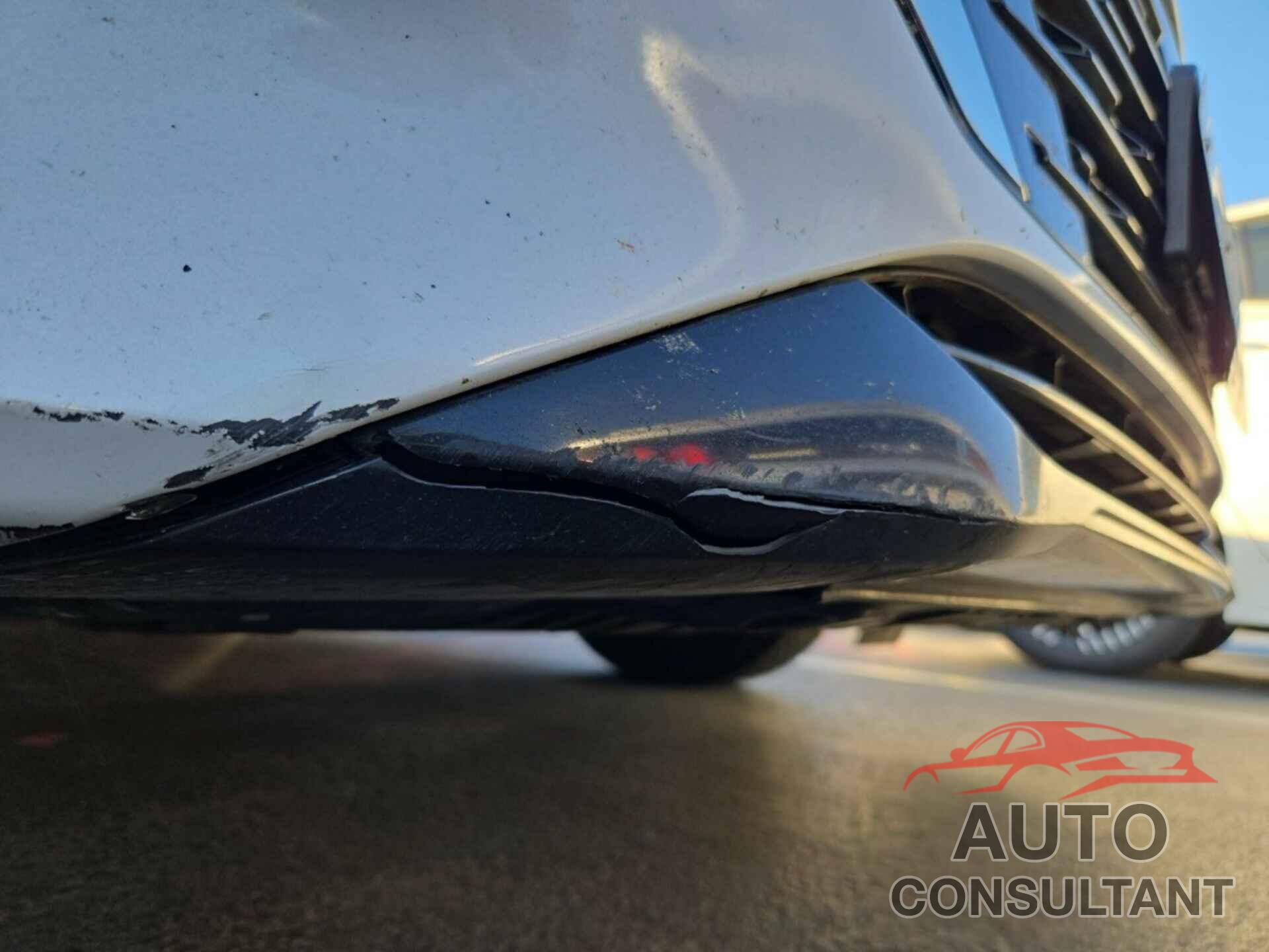 NISSAN SENTRA 2024 - 3N1AB8CV1RY295331