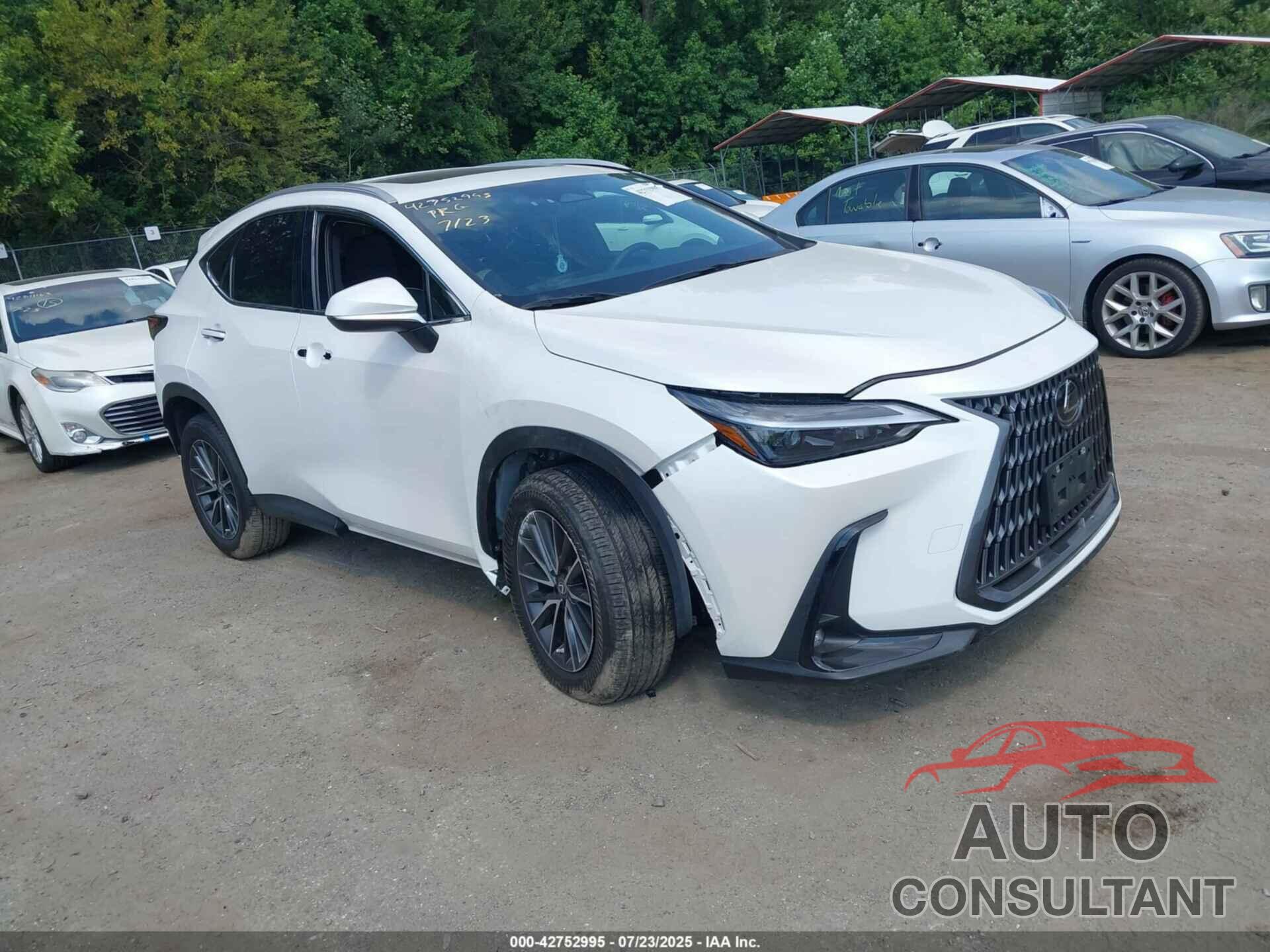 LEXUS NX 350 2022 - 2T2AGCEZ6NC006547