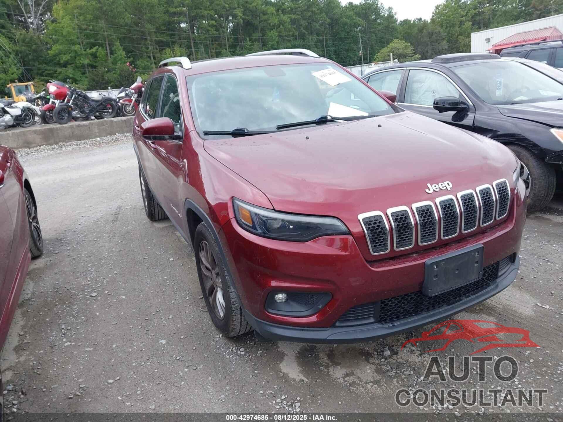 JEEP CHEROKEE 2019 - 1C4PJLCBXKD223359
