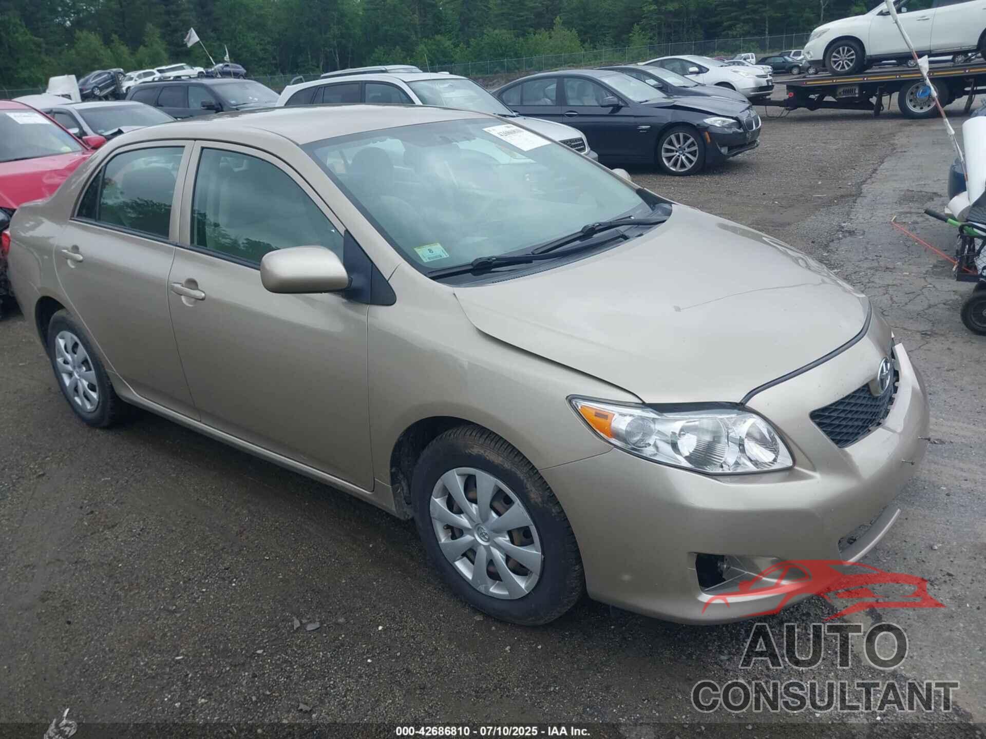 TOYOTA COROLLA 2009 - 2T1BU40E89C125914