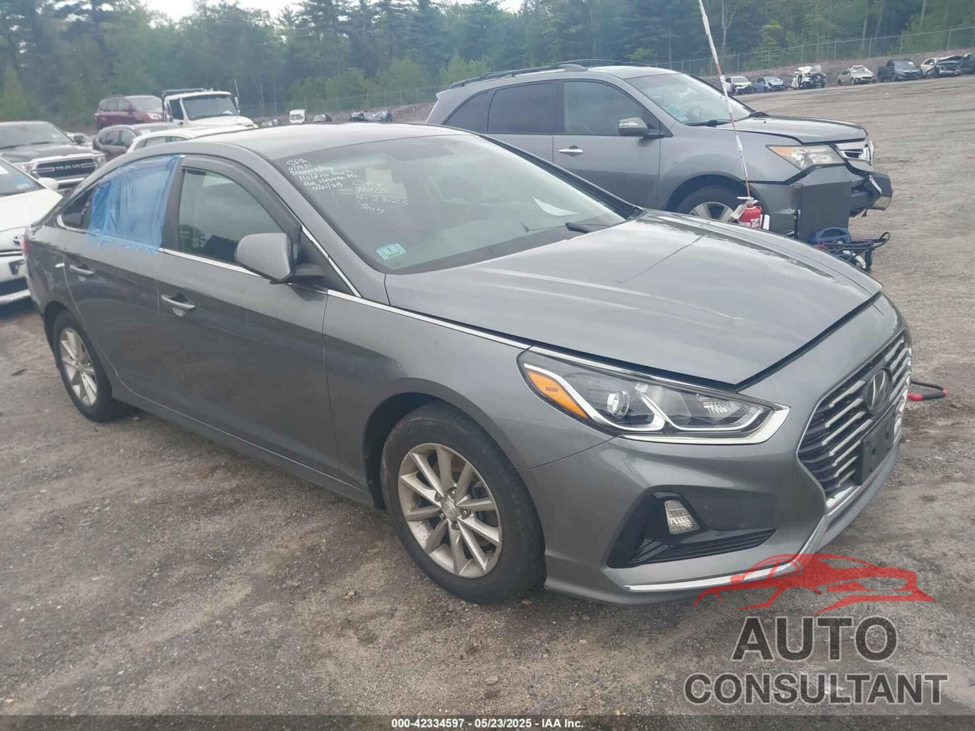 HYUNDAI SONATA 2019 - 5NPE24AF3KH778275