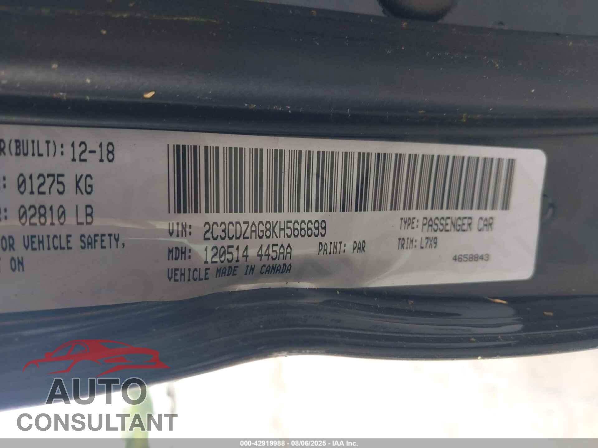 DODGE CHALLENGER 2019 - 2C3CDZAG8KH566699