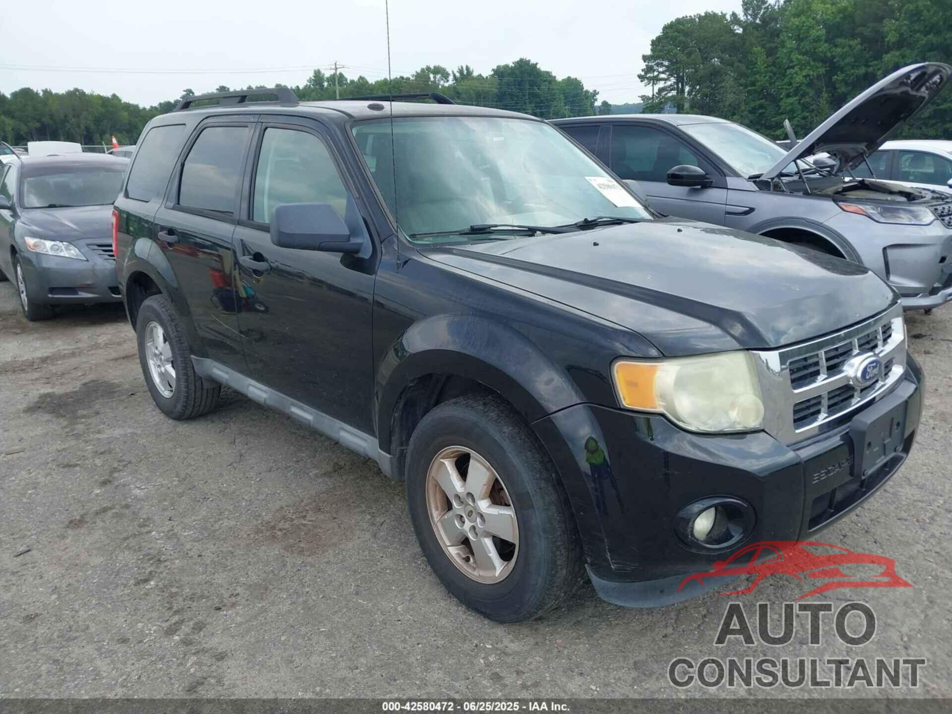 FORD ESCAPE 2010 - 1FMCU0DG5AKB79954