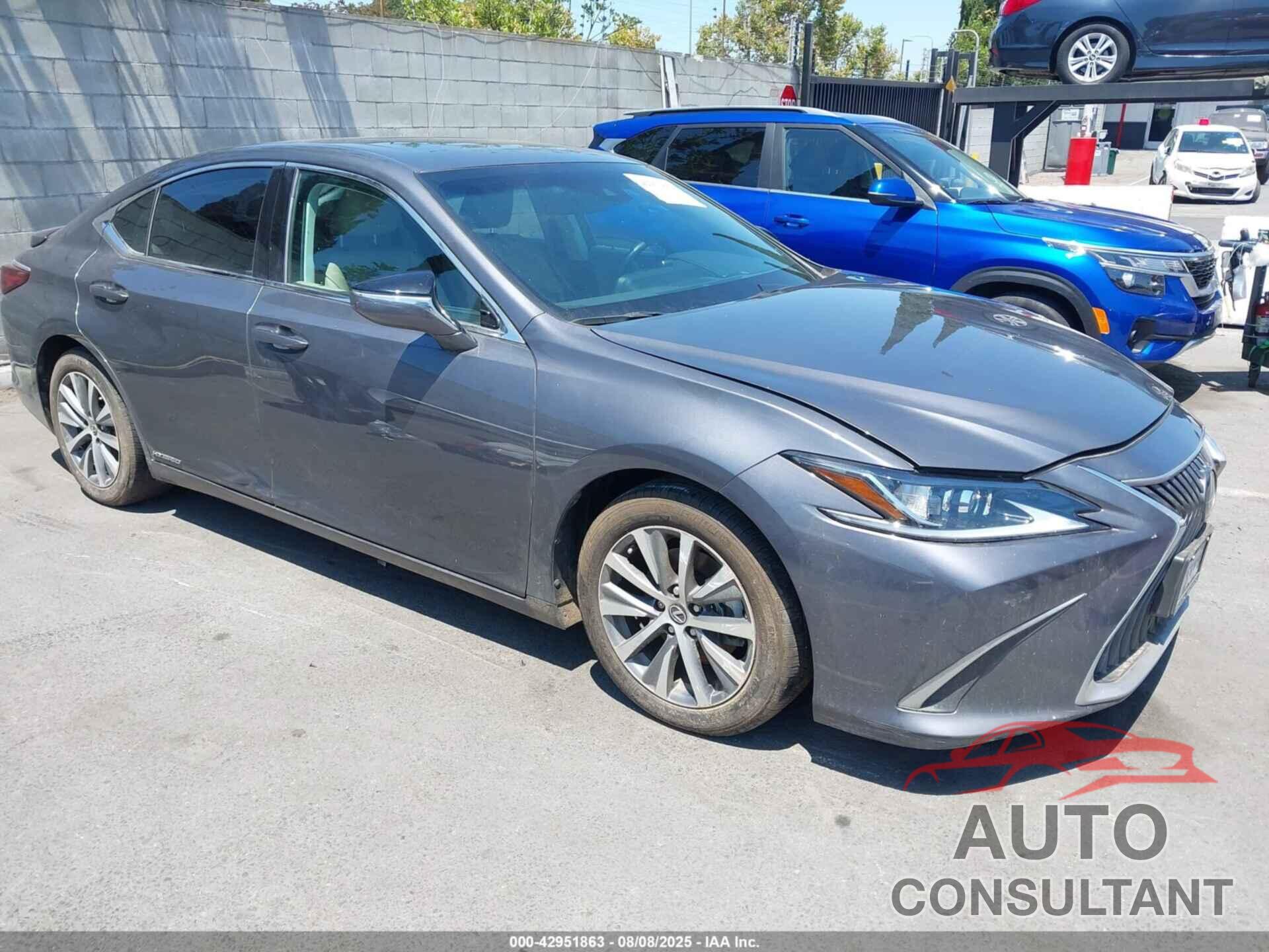 LEXUS ES 300H 2020 - 58AD21B14LU004965
