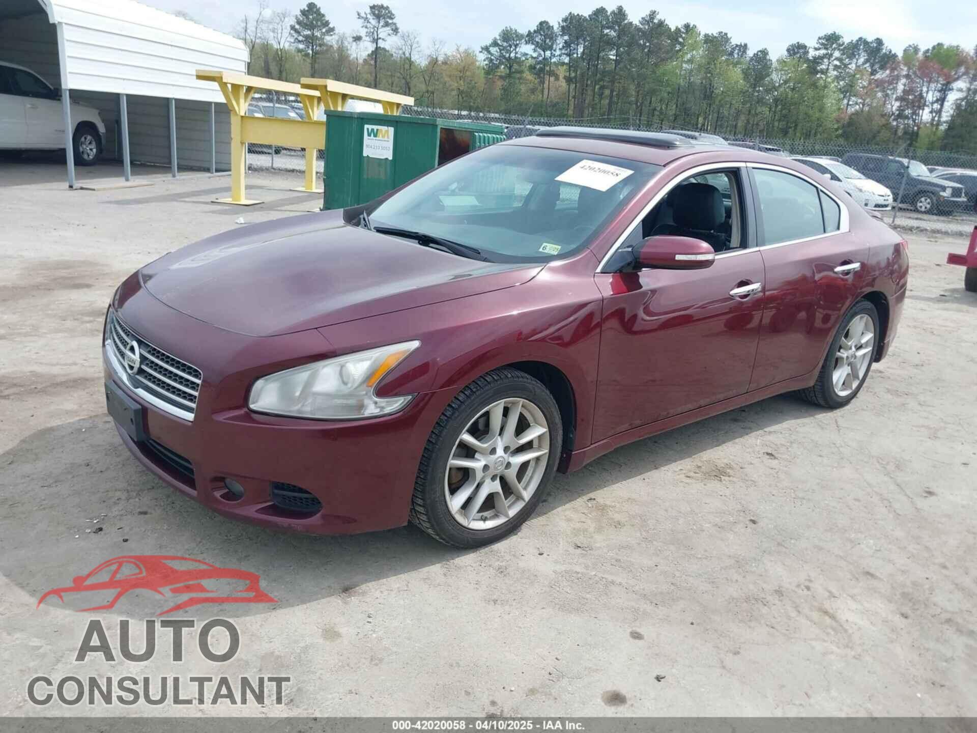 NISSAN MAXIMA 2009 - 1N4AA51E99C827294