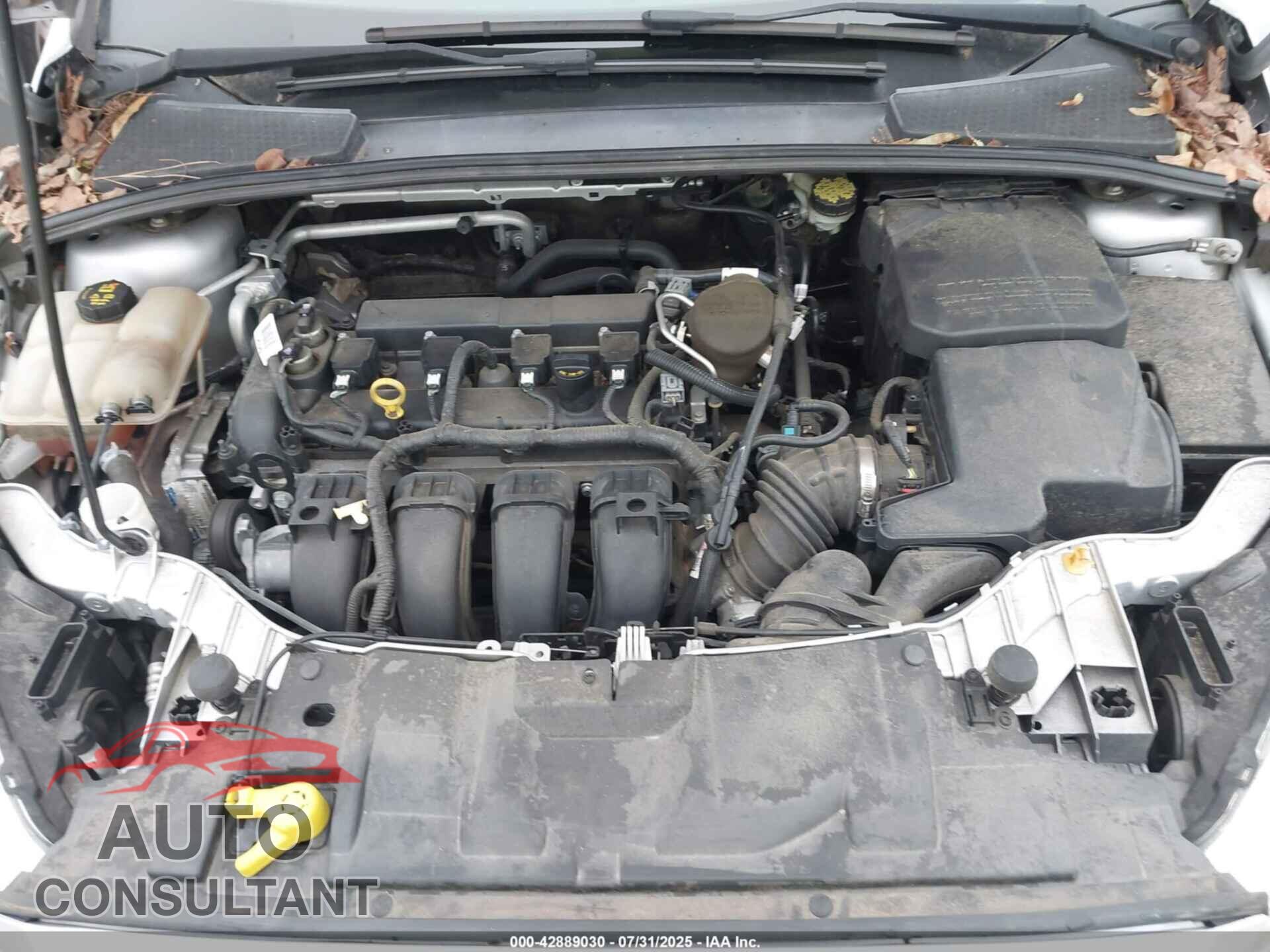 FORD FOCUS 2015 - 1FADP3K20FL288788