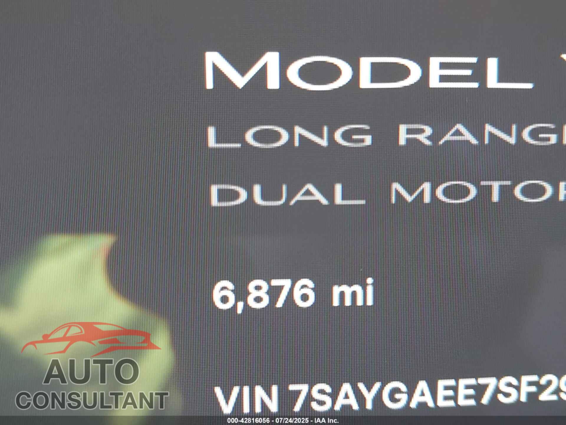 TESLA MODEL Y 2025 - 7SAYGAEE7SF291452