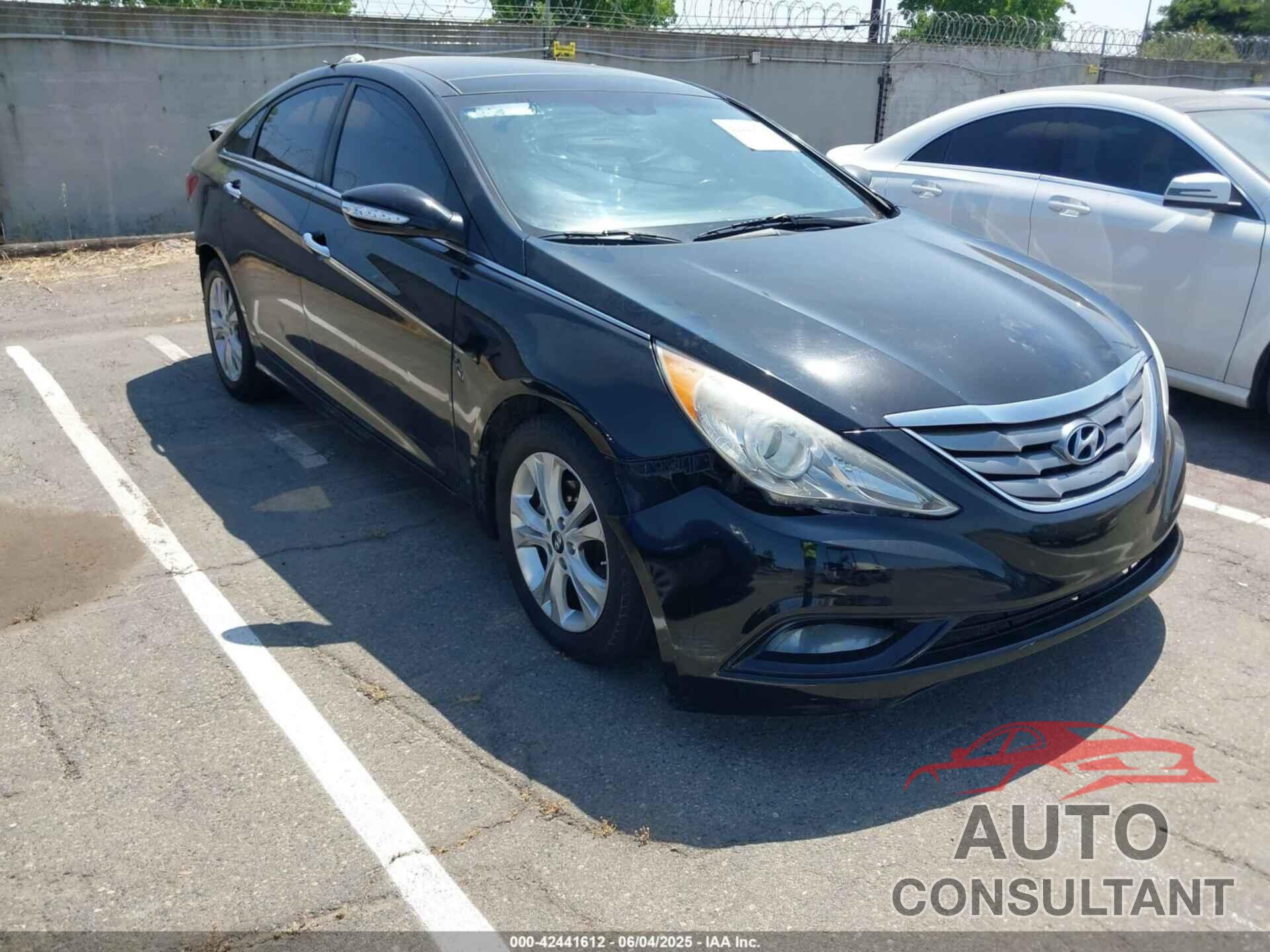 HYUNDAI SONATA 2013 - 5NPEC4AC7DH799636