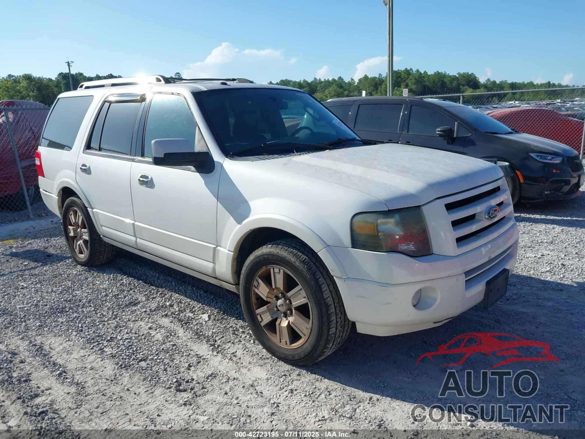 FORD EXPEDITION 2010 - 1FMJU1K58AEB64572