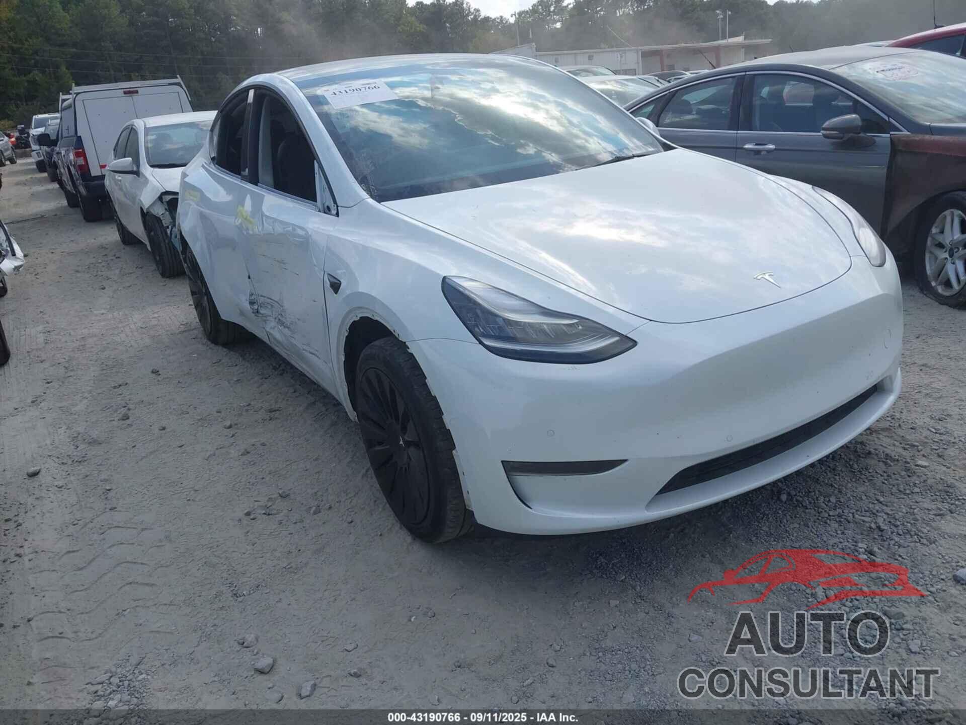TESLA MODEL Y 2020 - 5YJYGDEE4LF038301