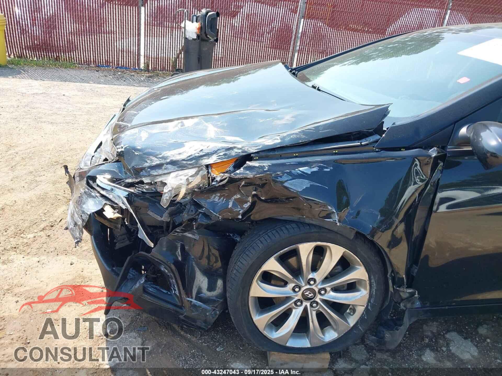 HYUNDAI SONATA 2013 - 5NPEC4AB5DH531028