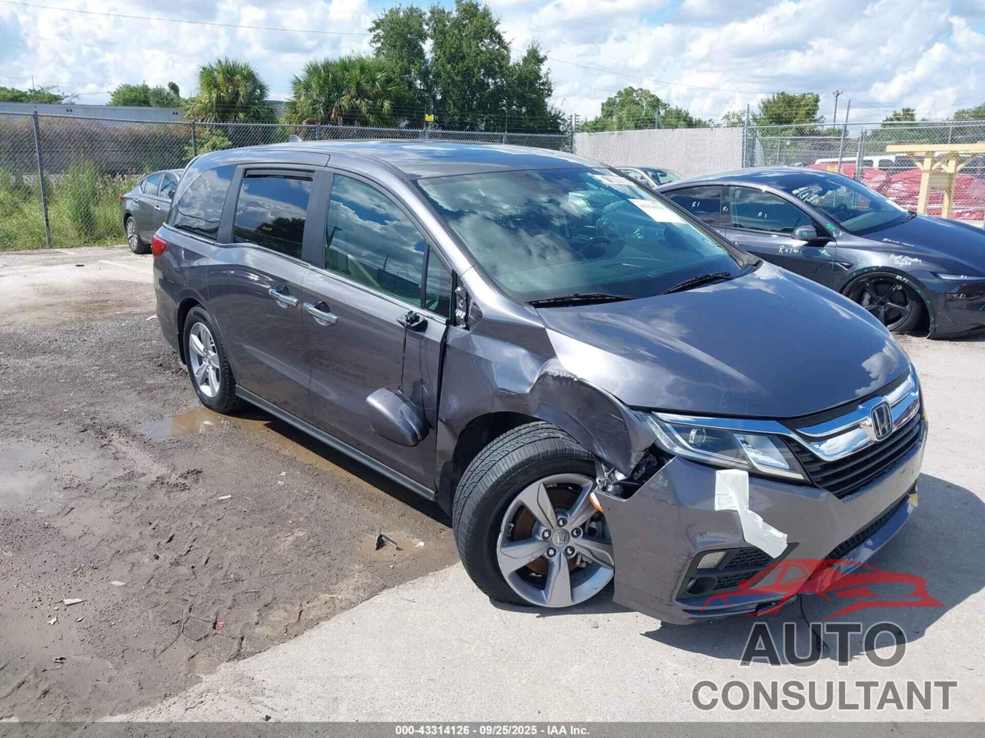 HONDA ODYSSEY 2019 - 5FNRL6H71KB137942