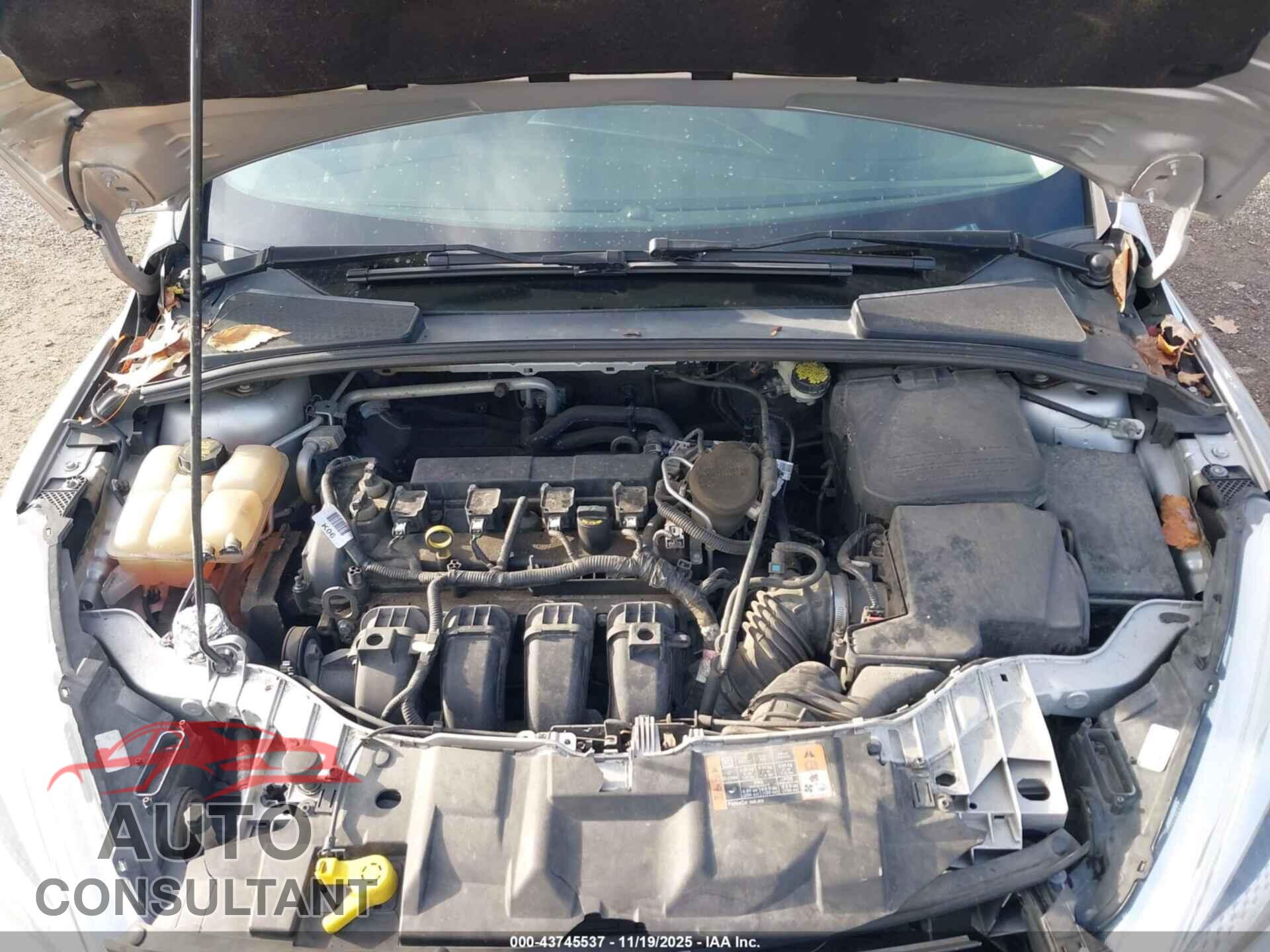 FORD FOCUS 2015 - 1FADP3F28FL280397