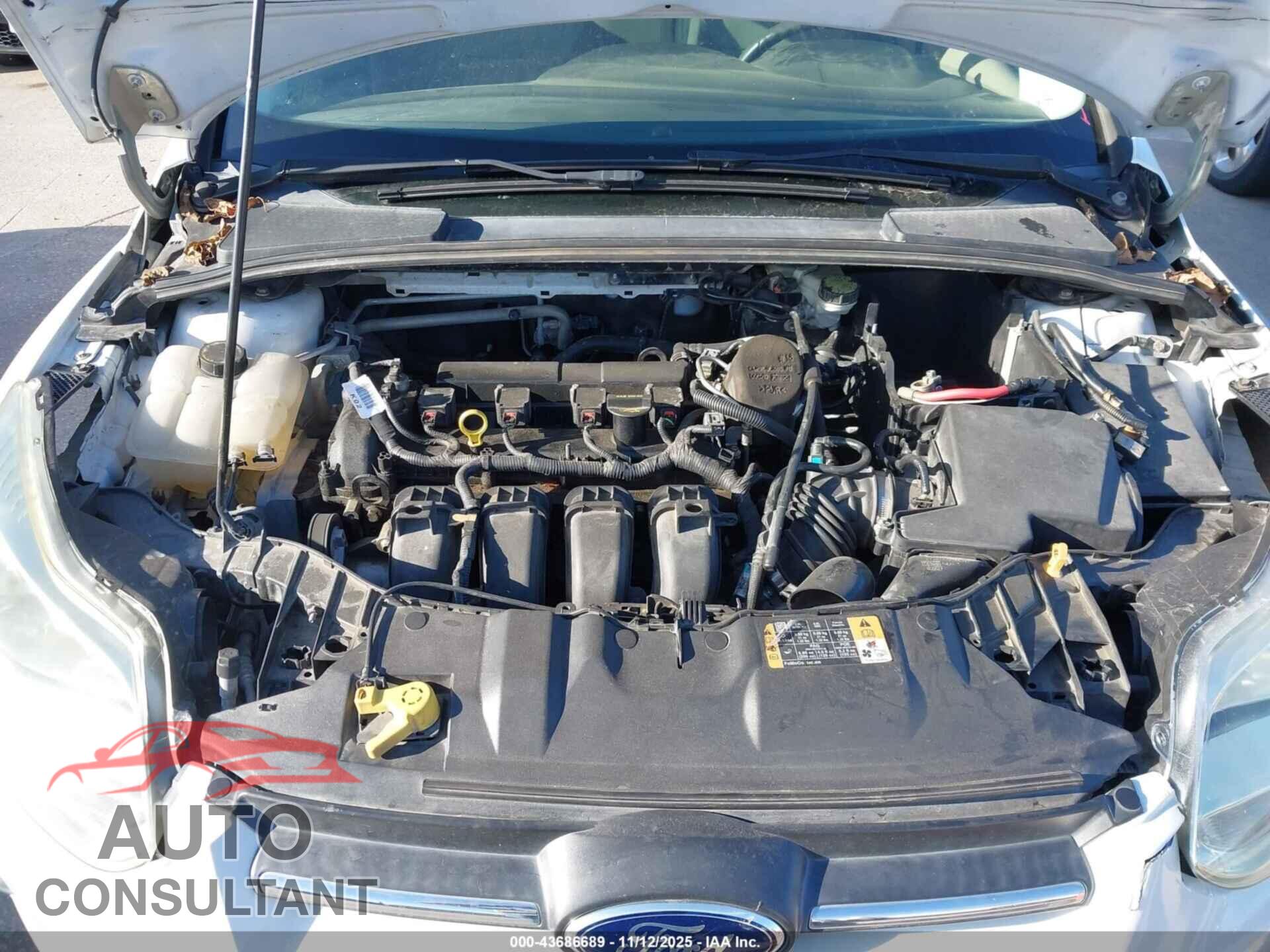 FORD FOCUS 2013 - 1FADP3F25DL210028