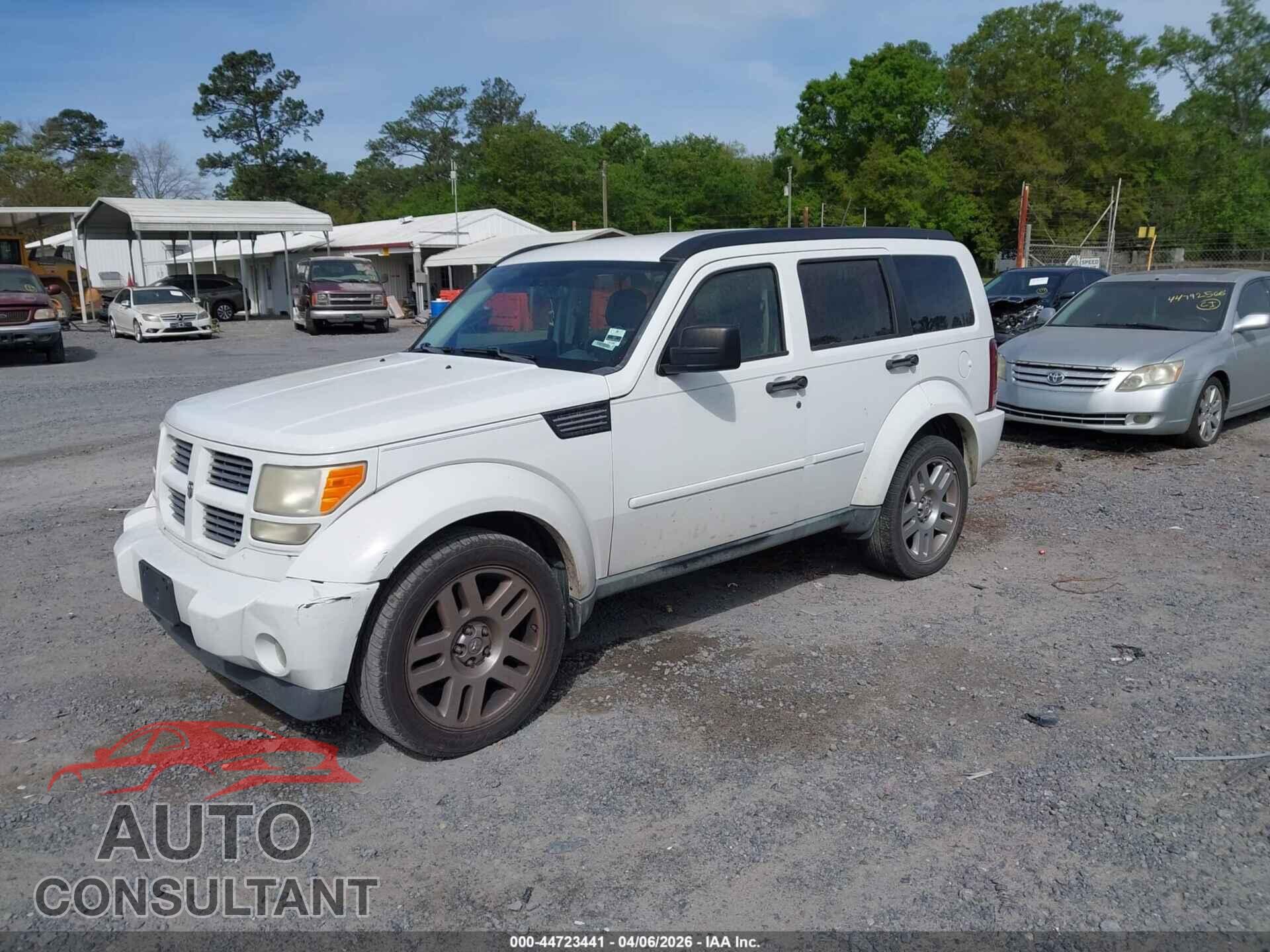 DODGE NITRO 2011 - 1D4PT4GK2BW597210