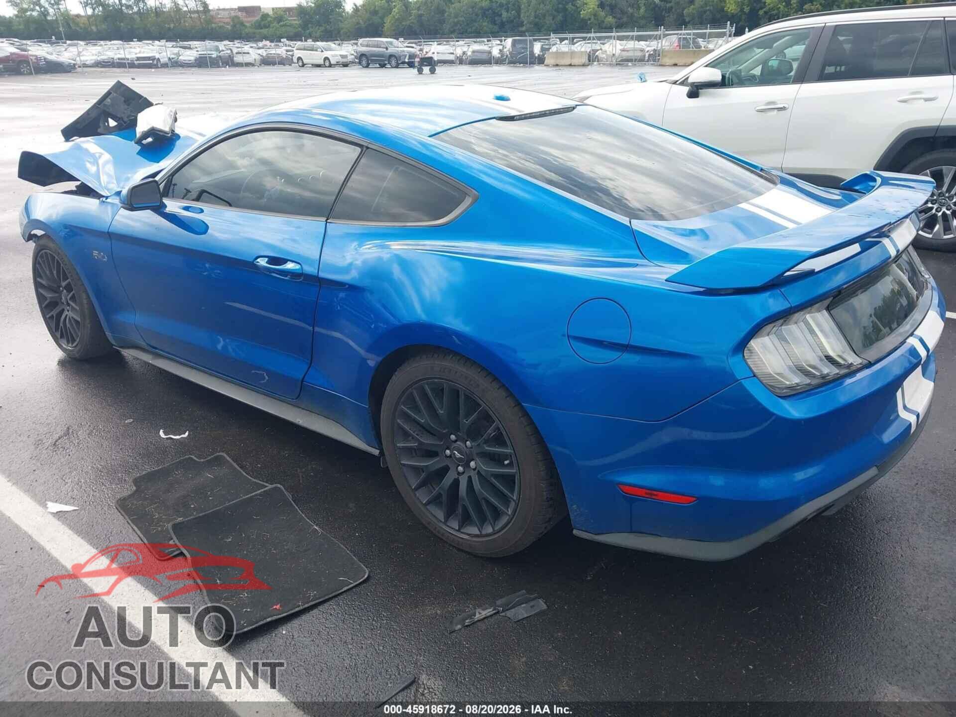 FORD MUSTANG 2019 - 1FA6P8CF4K5116463