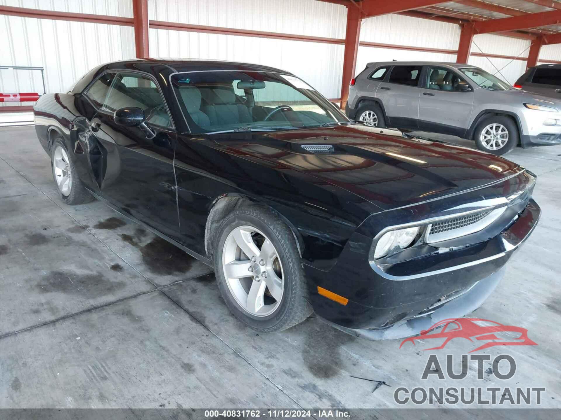 DODGE CHALLENGER 2013 - 2C3CDYAG3DH510702