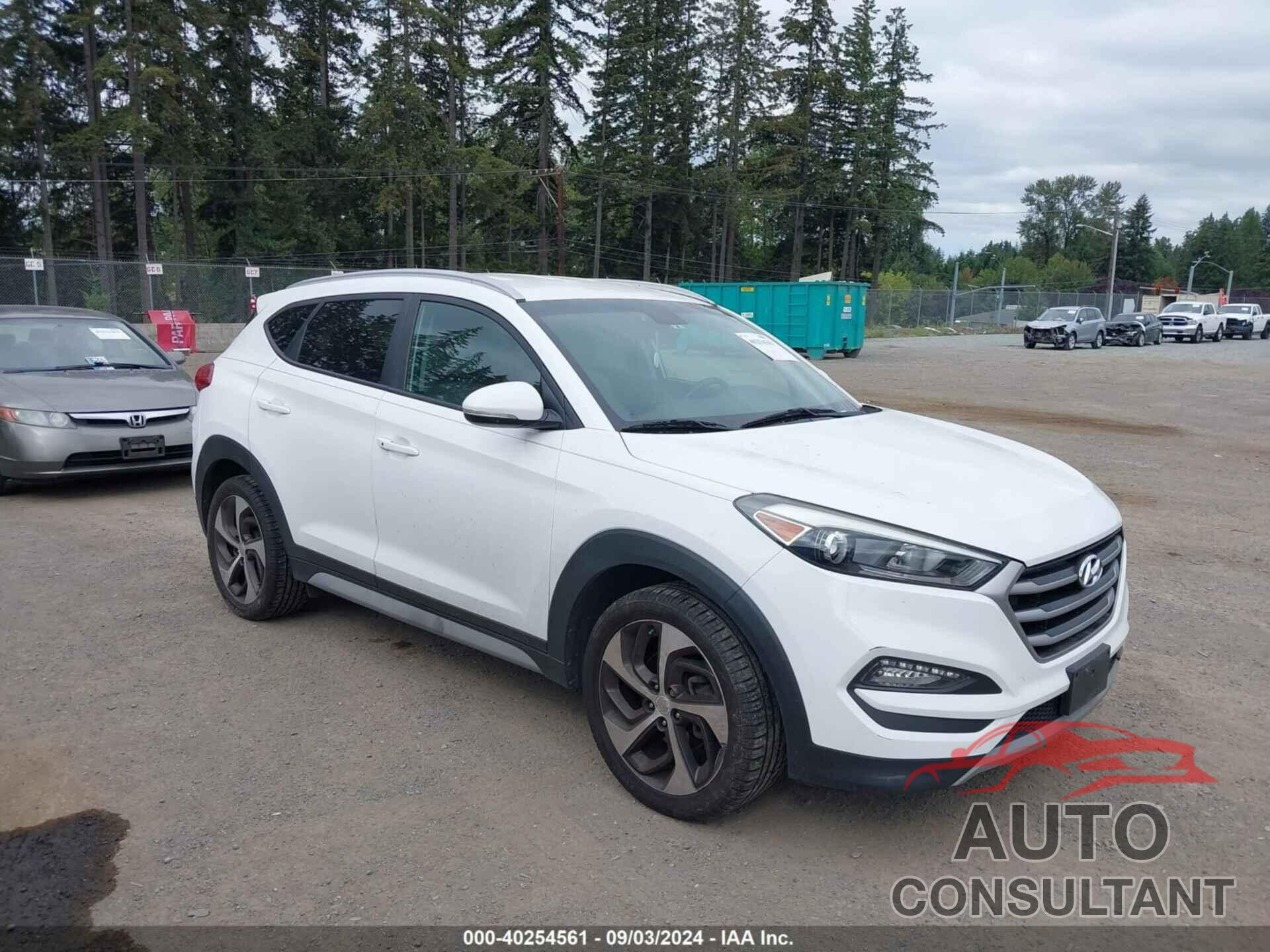 HYUNDAI TUCSON 2017 - KM8J33A21HU564172