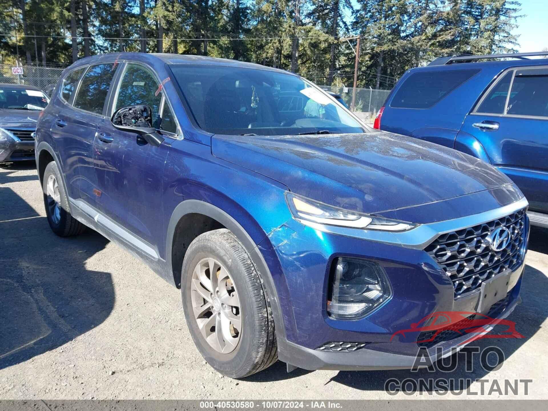 HYUNDAI SANTA FE 2019 - 5NMS2CAD0KH011587