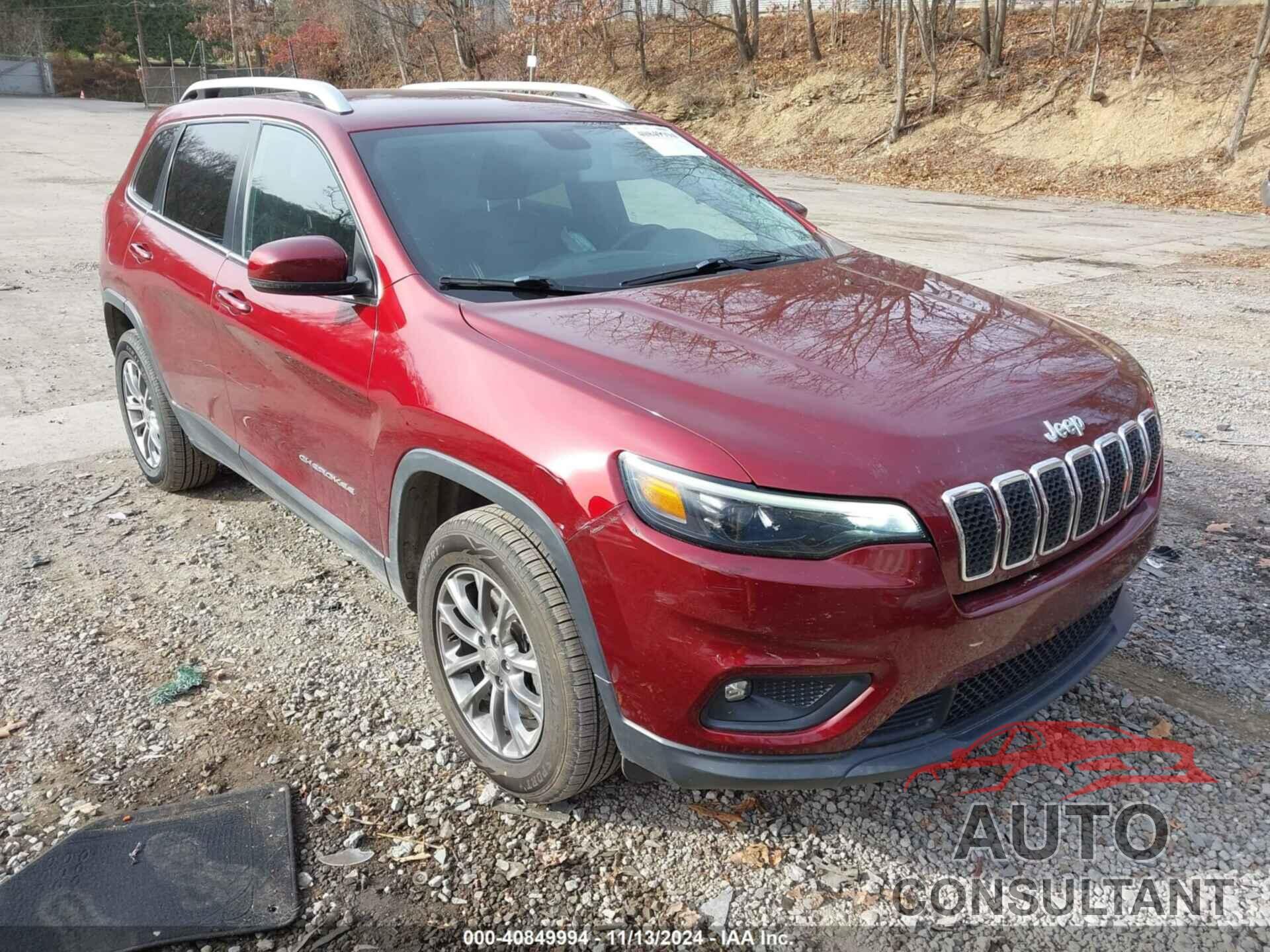 JEEP CHEROKEE 2019 - 1C4PJMLN7KD259588