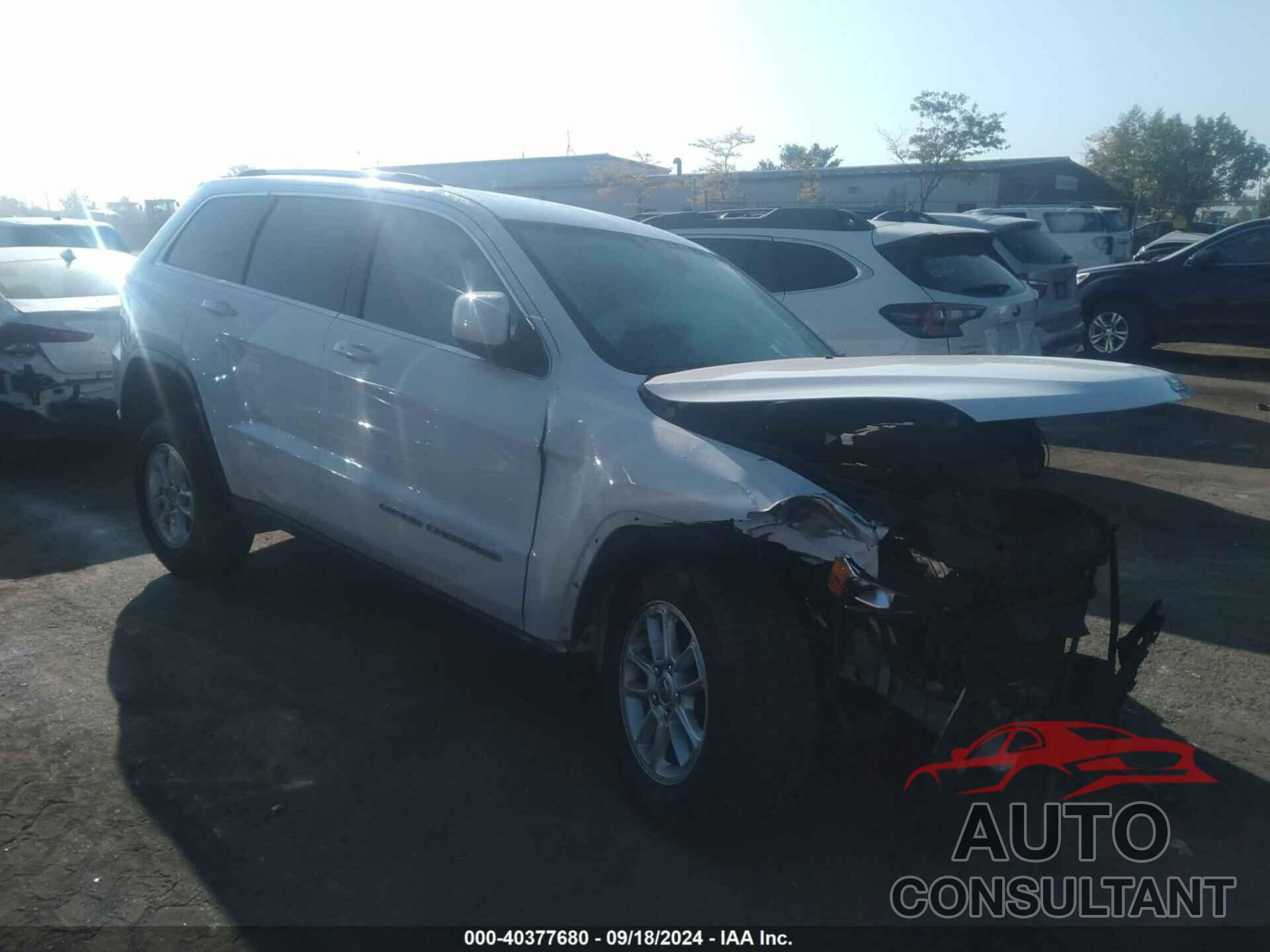 JEEP GRAND CHEROKEE 2019 - 1C4RJFAGXKC835141