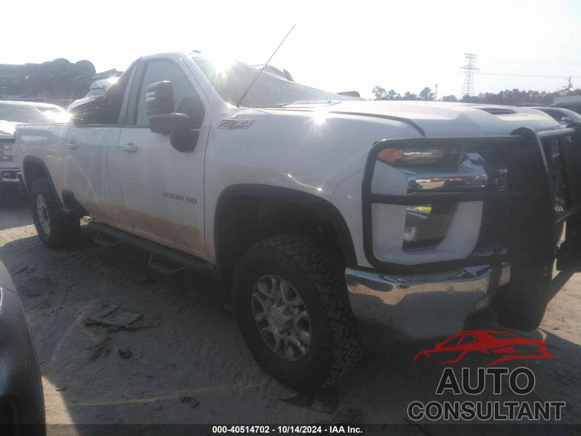 CHEVROLET SILVERADO 2020 - 1GC1YNEYXLF106384