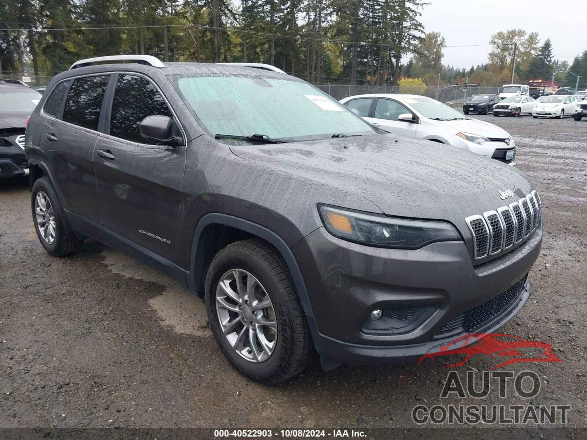 JEEP CHEROKEE 2020 - 1C4PJMLX6LD510331