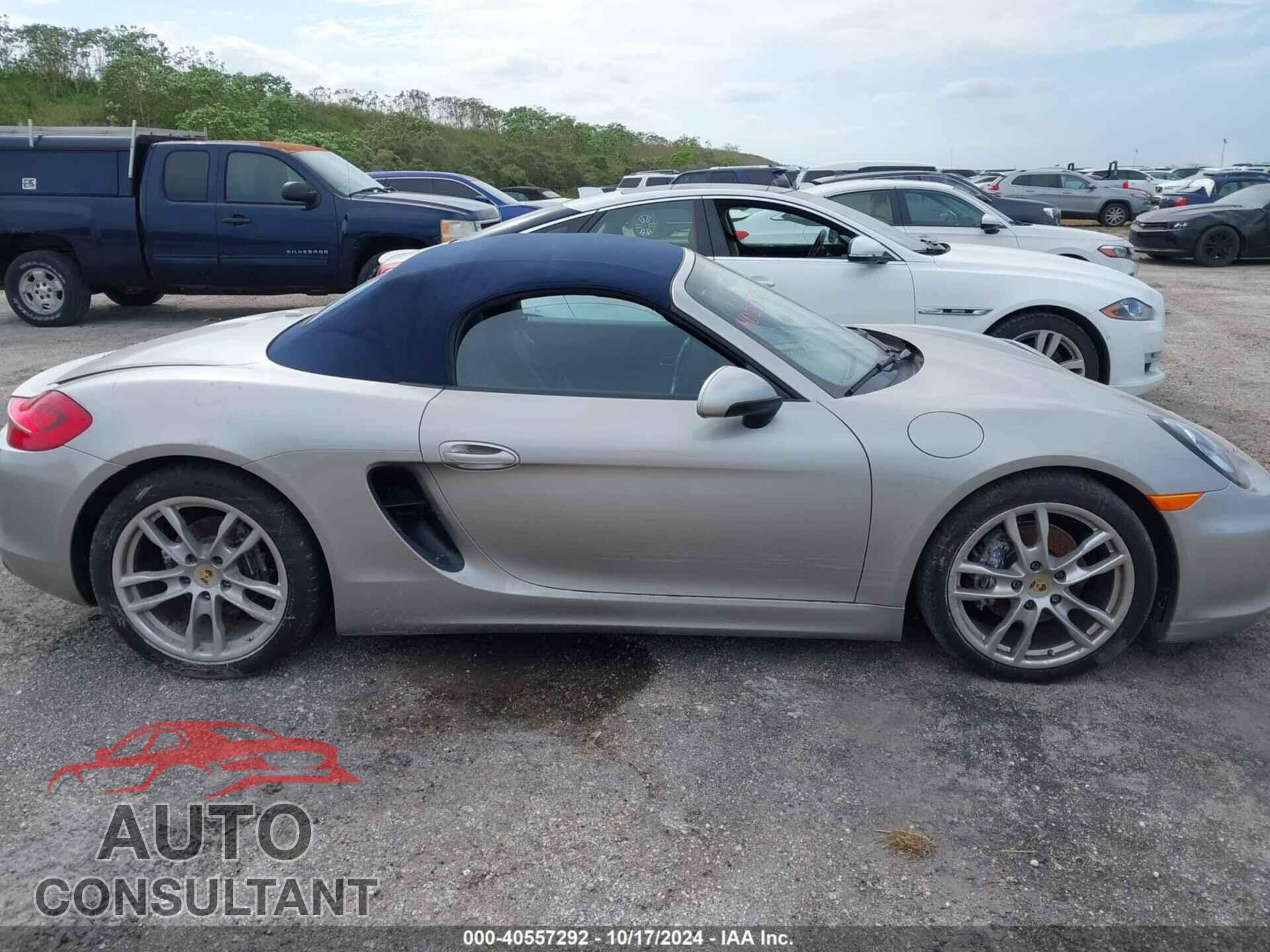 PORSCHE BOXSTER 2013 - WP0CA2A88DS113862