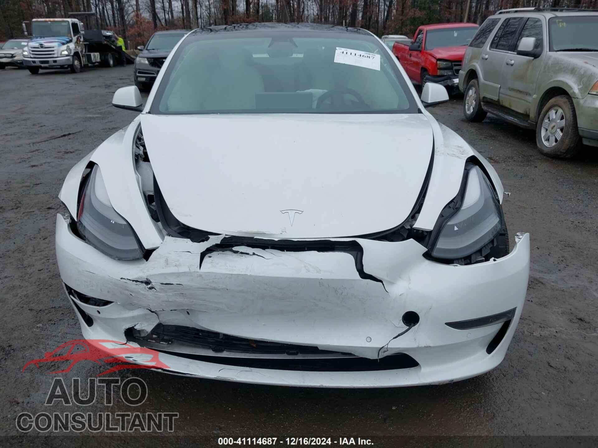 TESLA MODEL 3 2021 - 5YJ3E1EA2MF098591