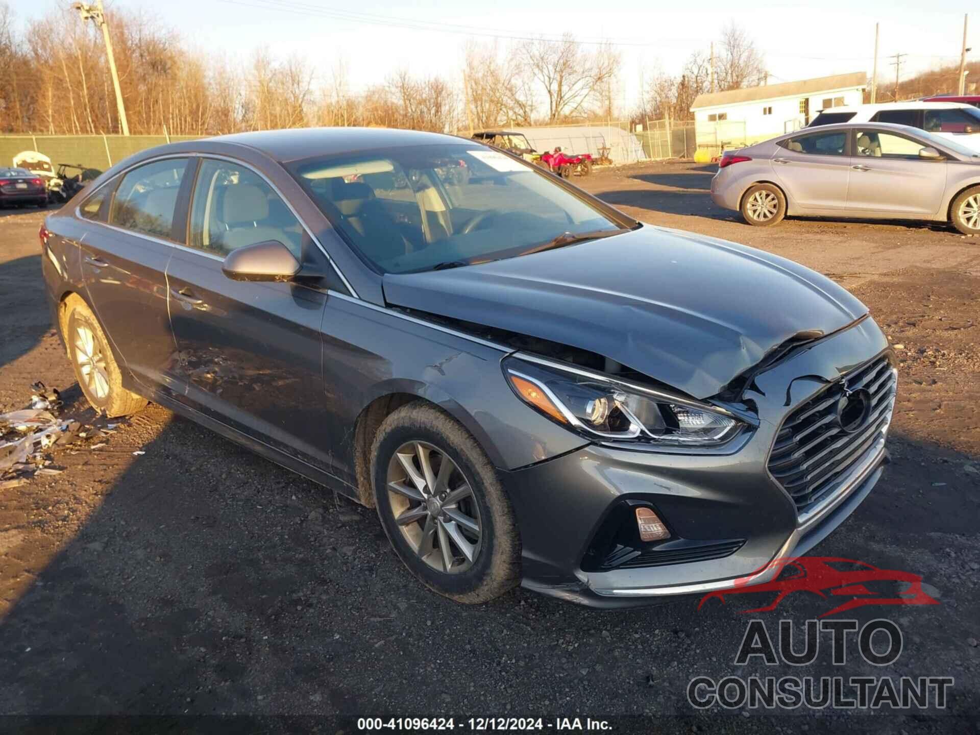 HYUNDAI SONATA 2019 - 5NPE24AF9KH744681