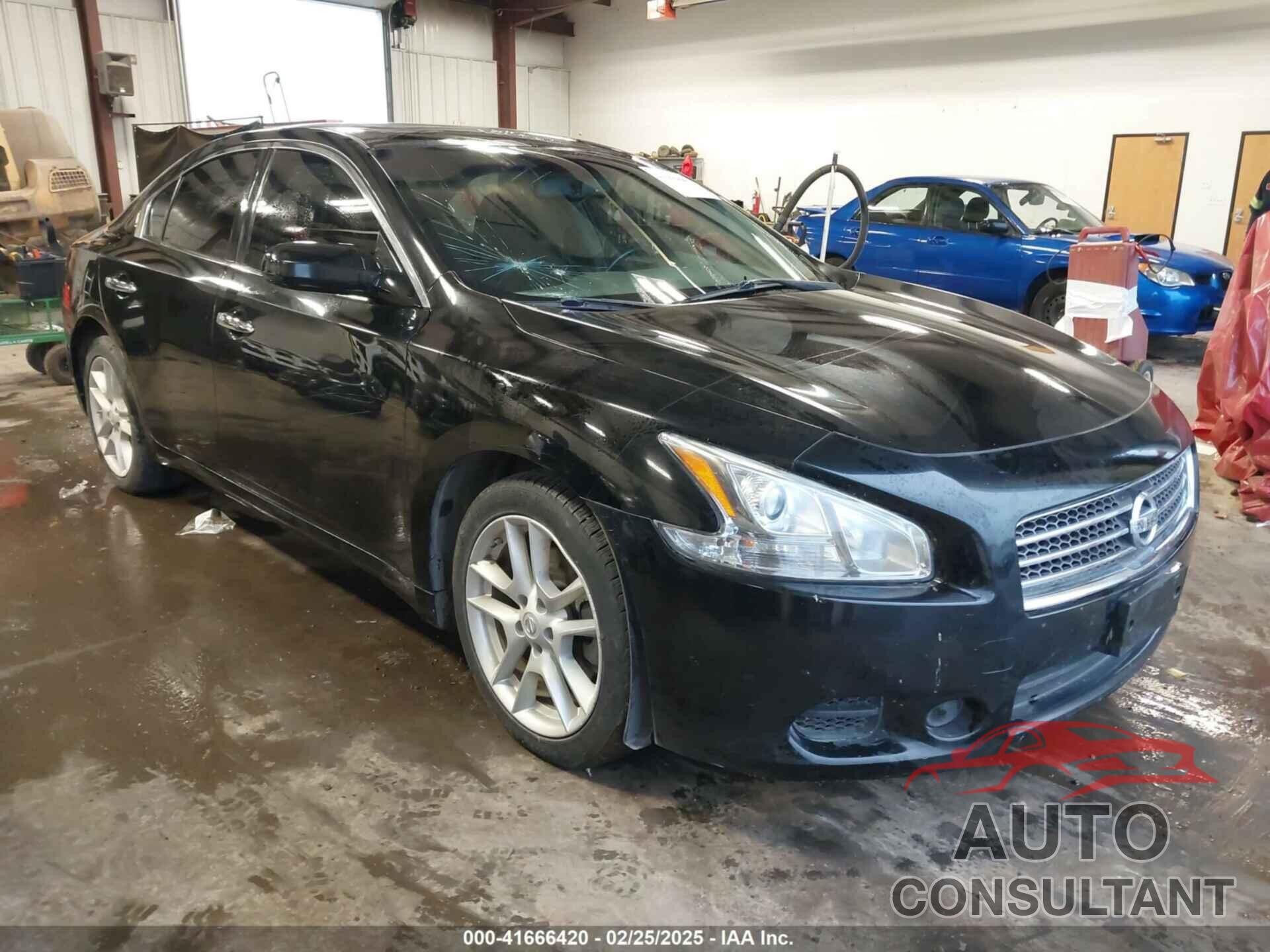 NISSAN MAXIMA 2011 - 1N4AA5AP8BC861492