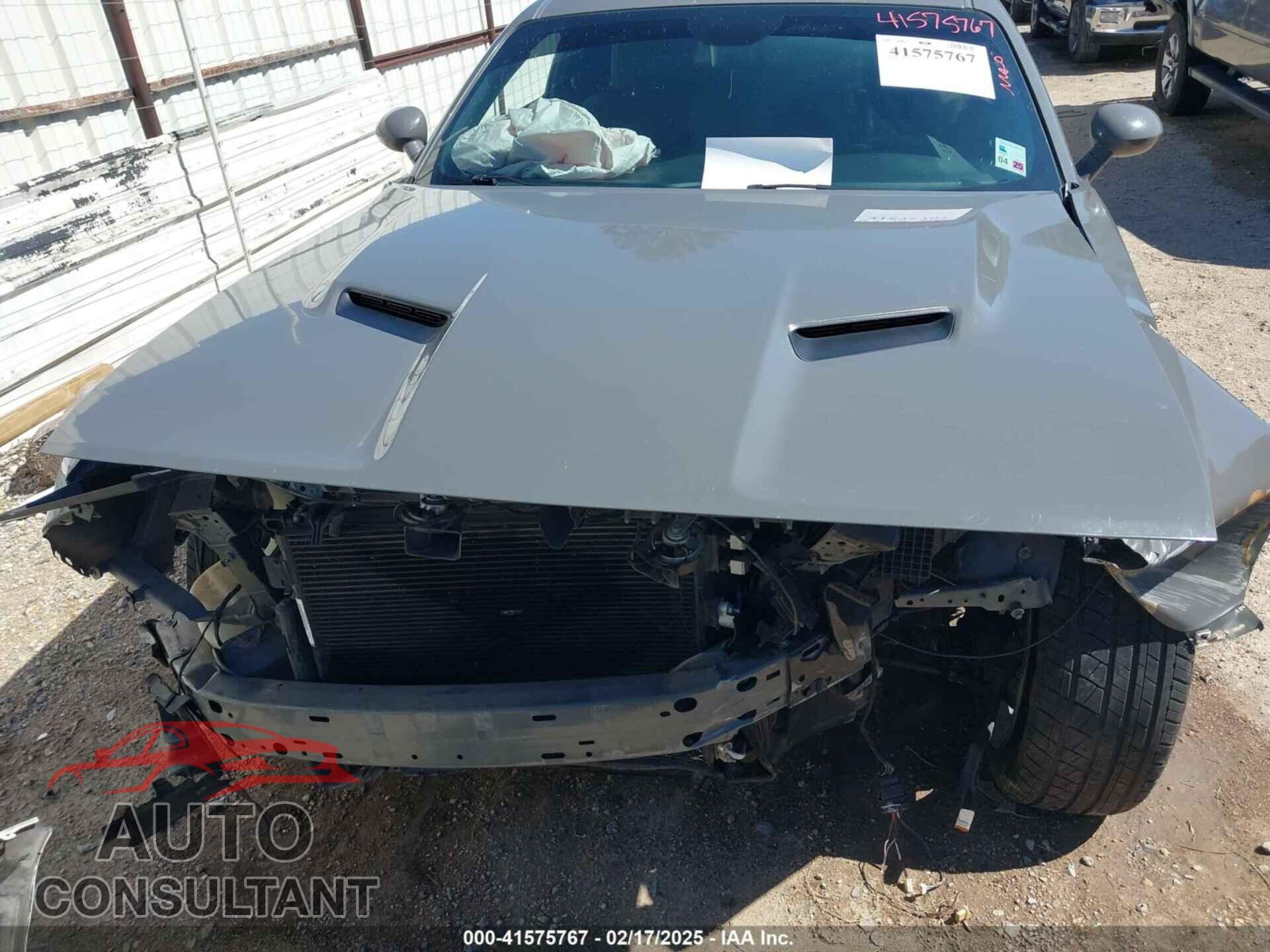 DODGE CHALLENGER 2019 - 2C3CDZAG9KH509055