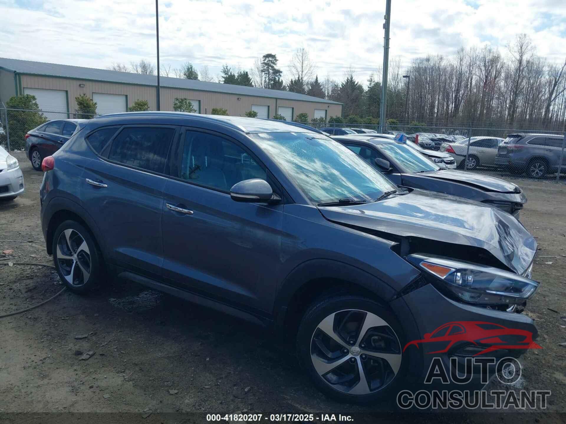 HYUNDAI TUCSON 2016 - KM8J33A23GU179159